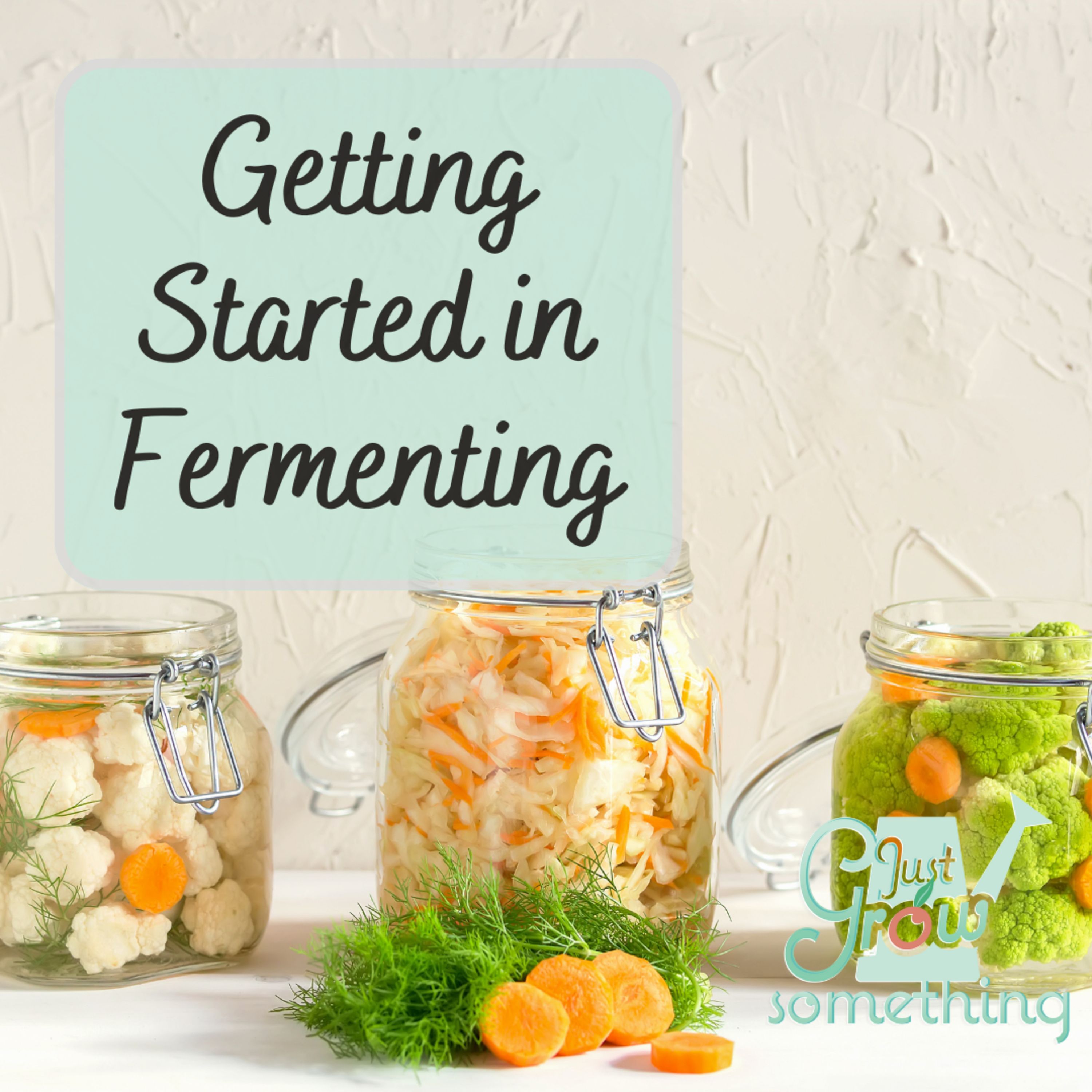 Getting Started in Fermenting - Ep. 160