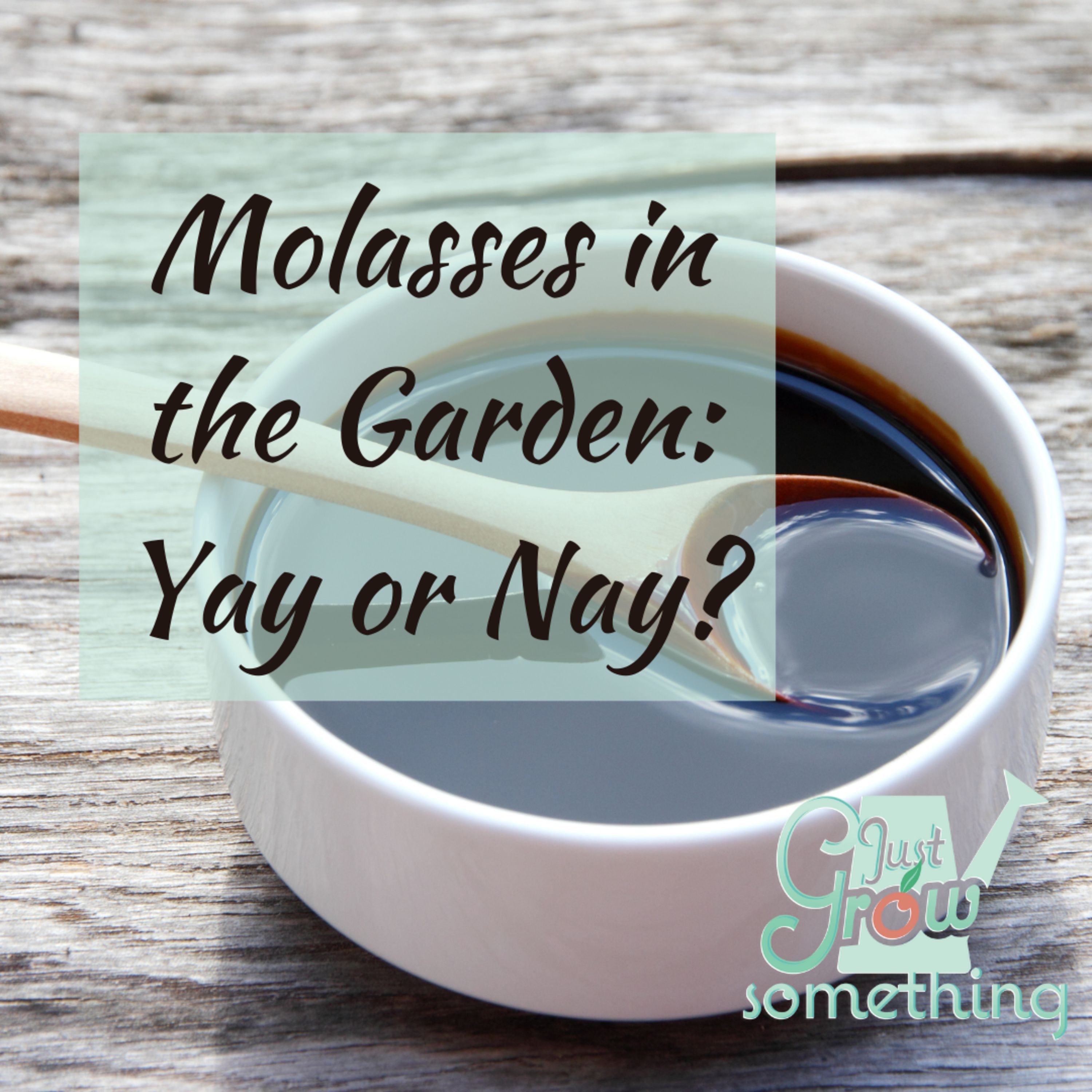 Ep. 85 - Molasses in the Garden: Yay or Nay?