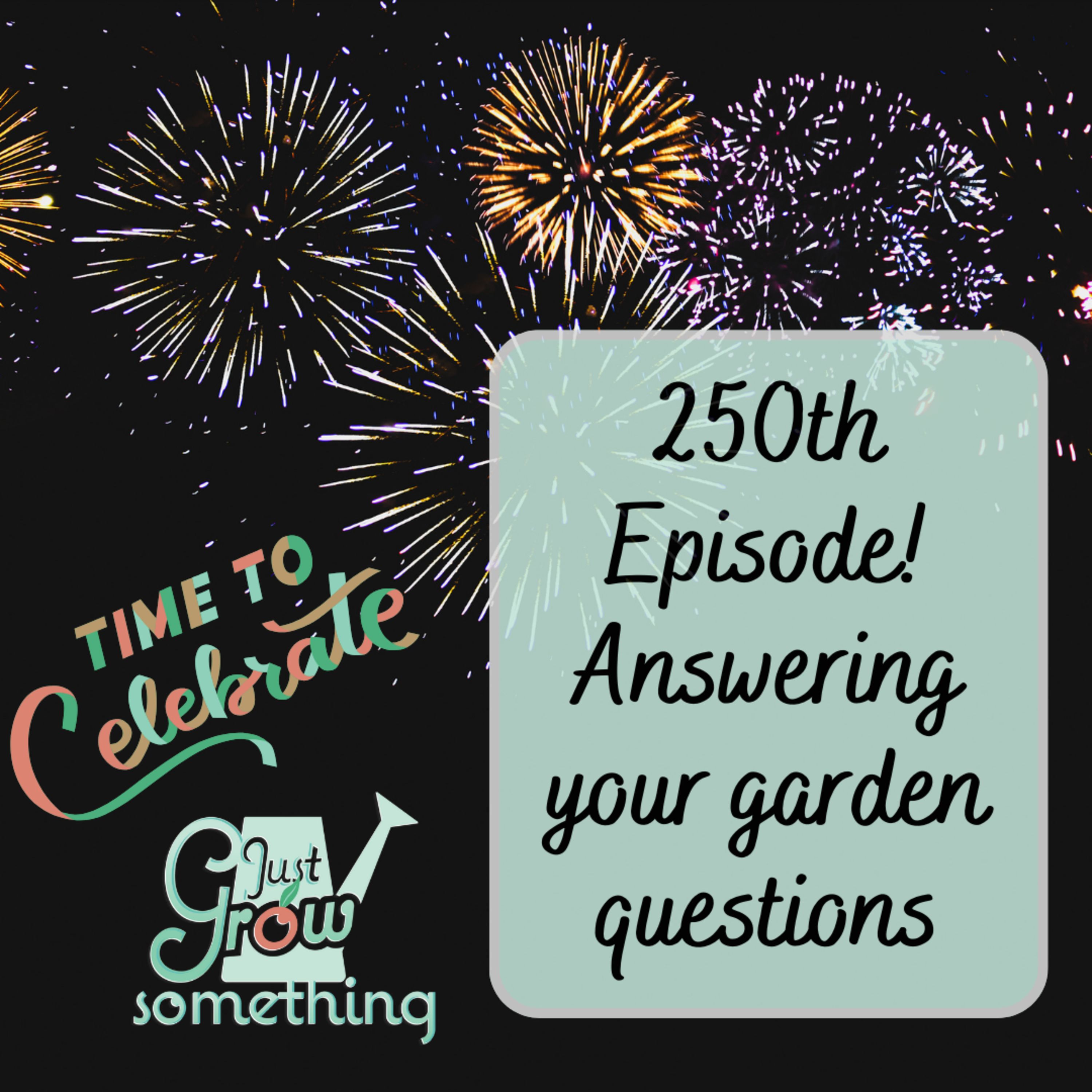 Potatoes, Transplants, Insect Netting, and More: Garden Q&A for Episode 250
