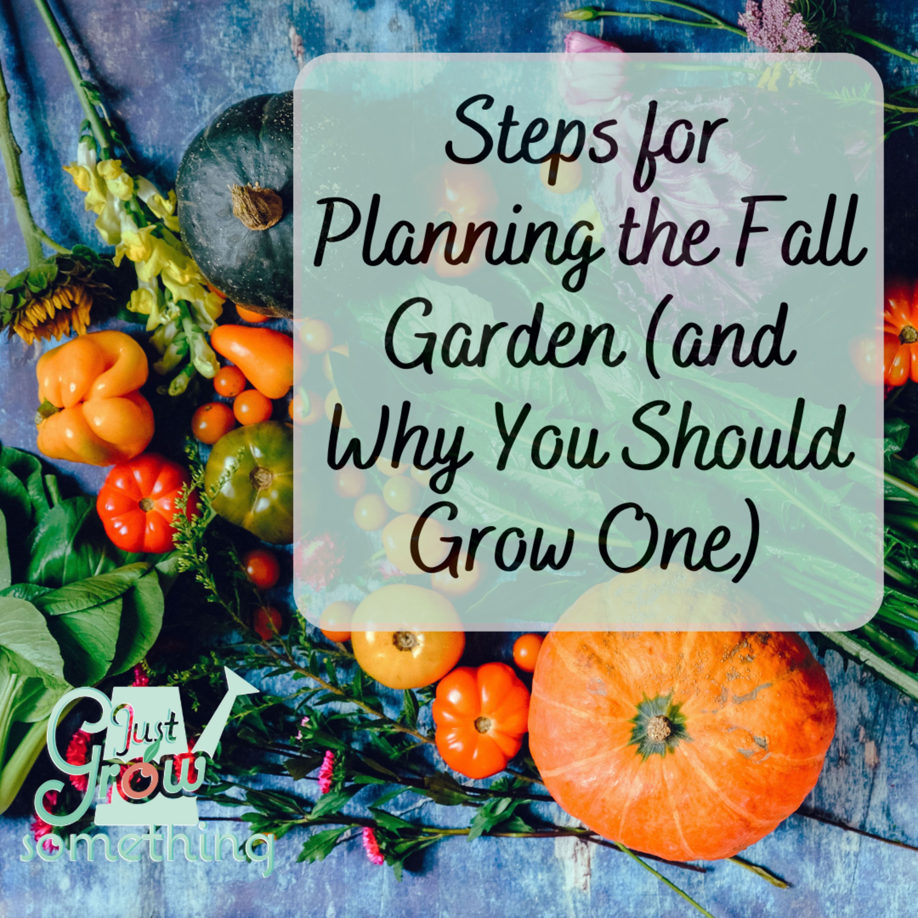 Steps for Planning the Fall Garden (and Why You Should Grow One) - Ep. 205