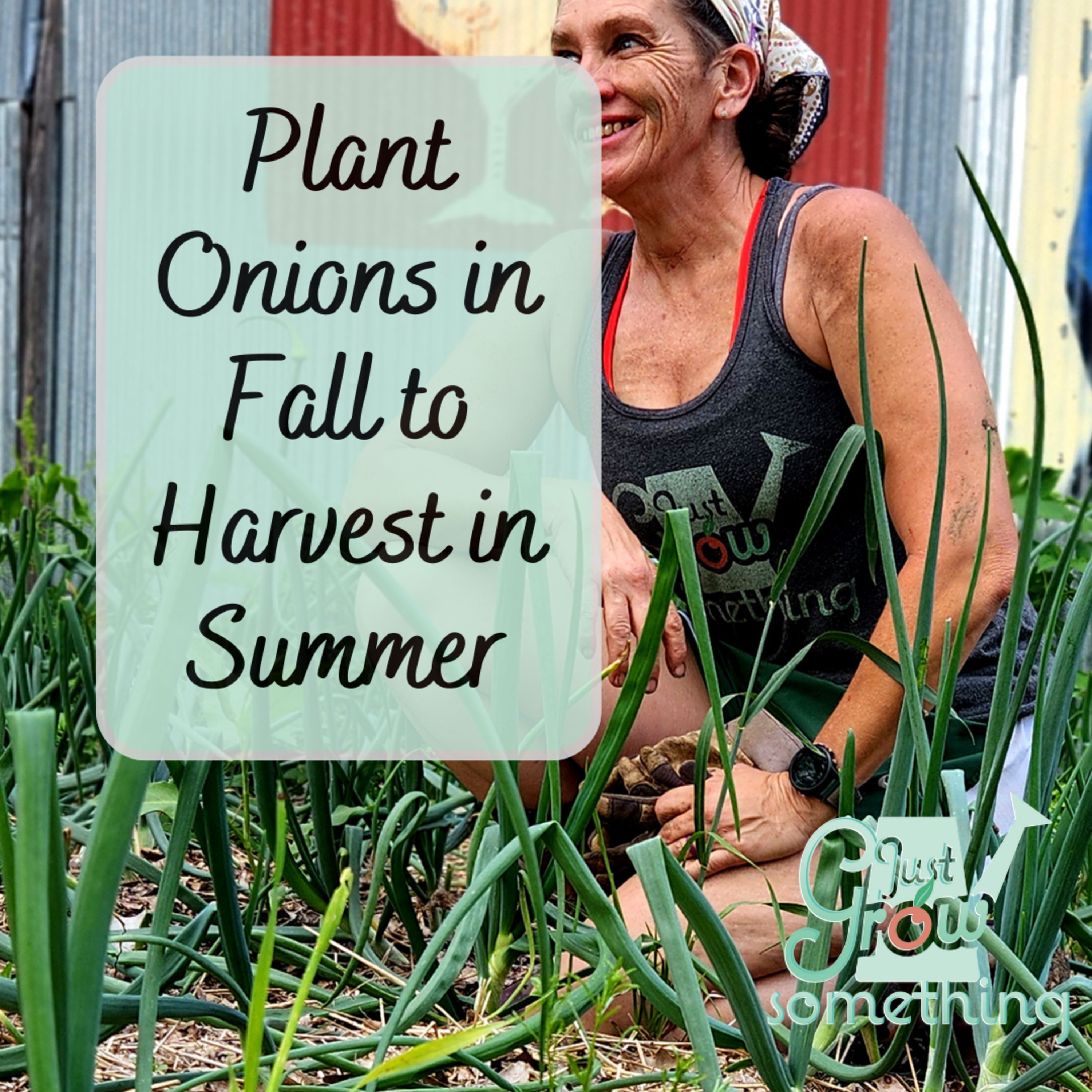 Planting Onions in Fall for a Summer Harvest - Ep. 220