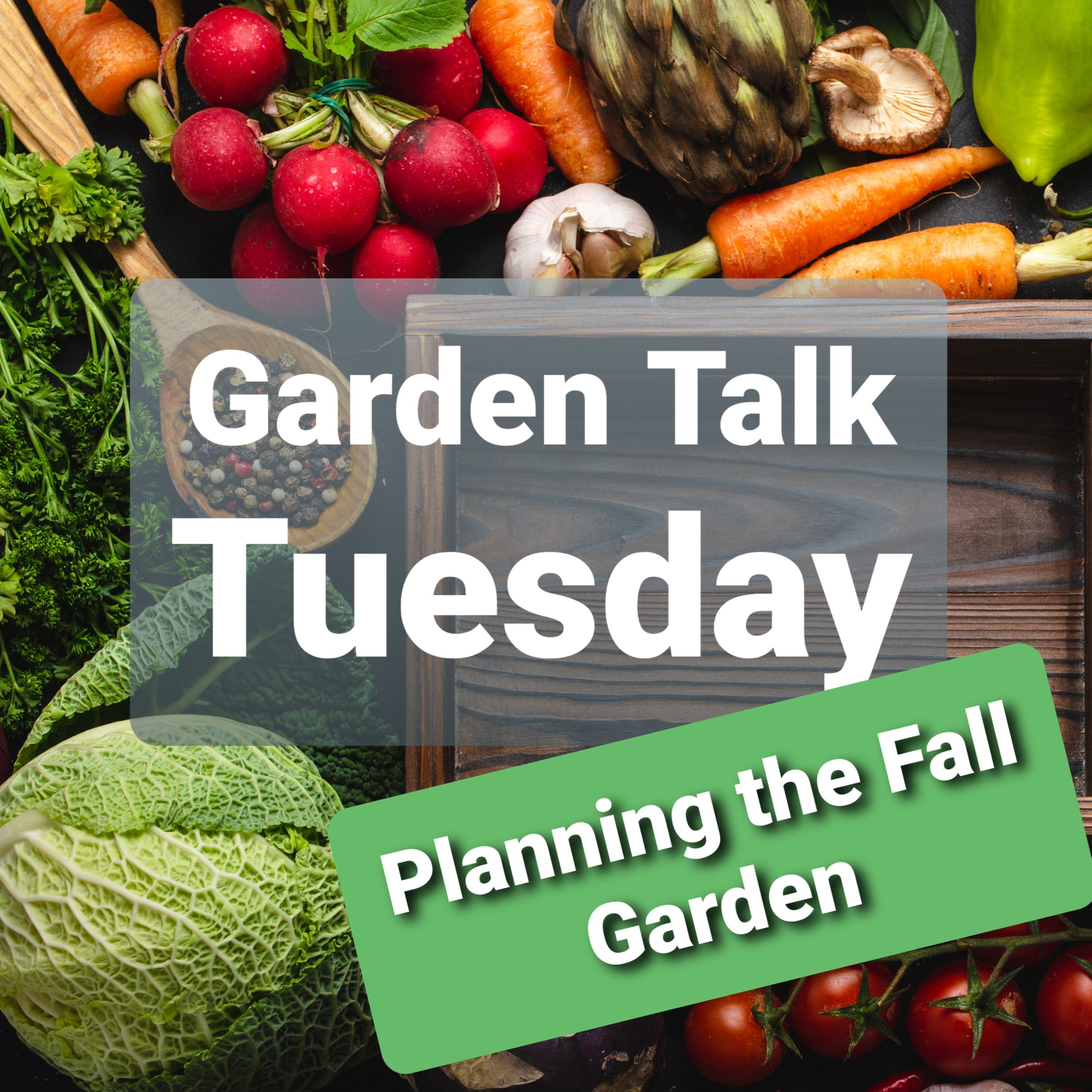 Ep. 38 - Planning the Fall Garden