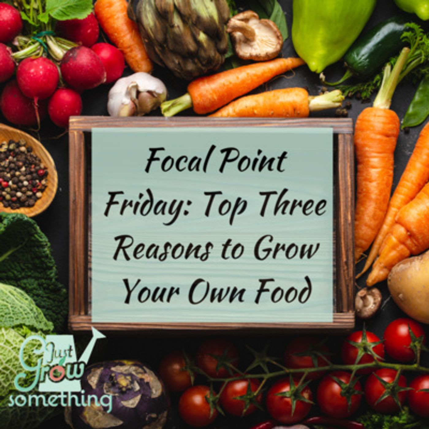 Focal Point Friday: Top Three Reasons to Grow Your Own Food