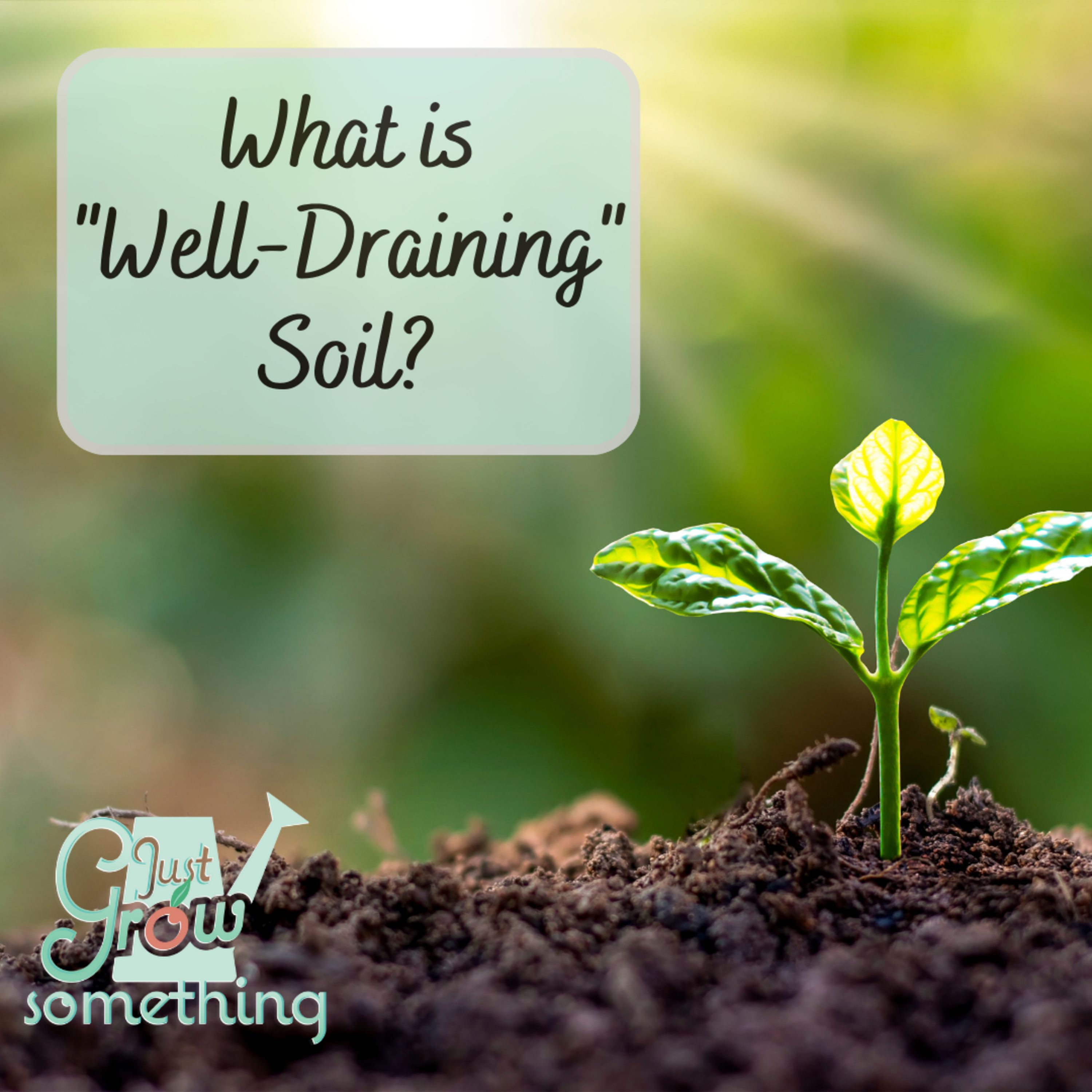 What is Well-Draining Soil? - Ep. 153