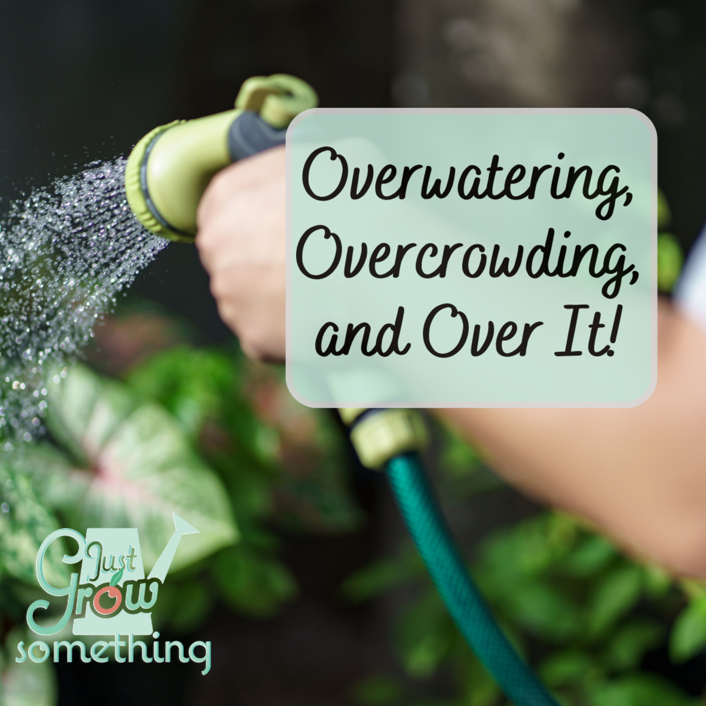 What to Fix, Tweak, or Stop Doing in Your Garden Late Summer - Ep. 264