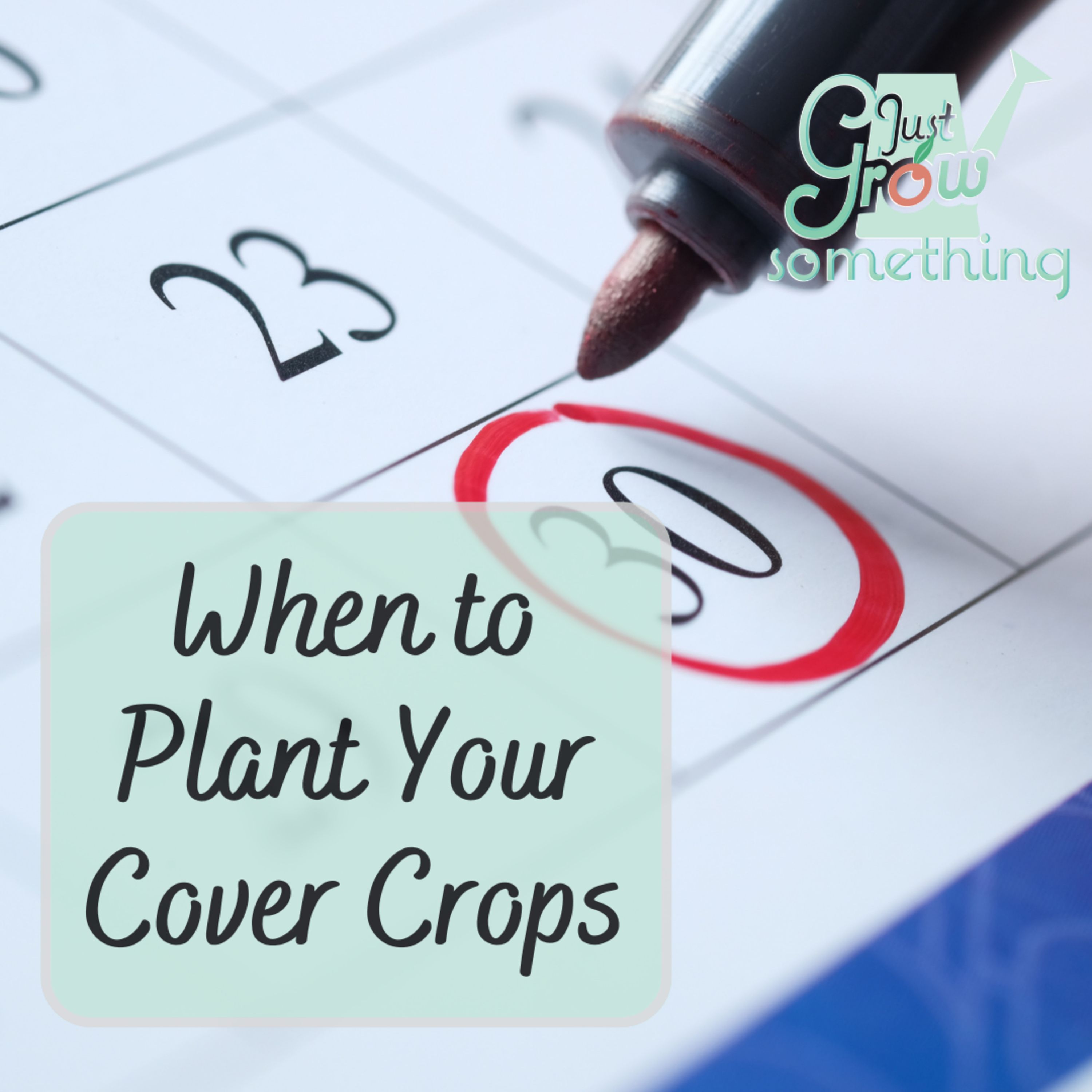 When to Plant Your Cover Crops - Focal Point Friday