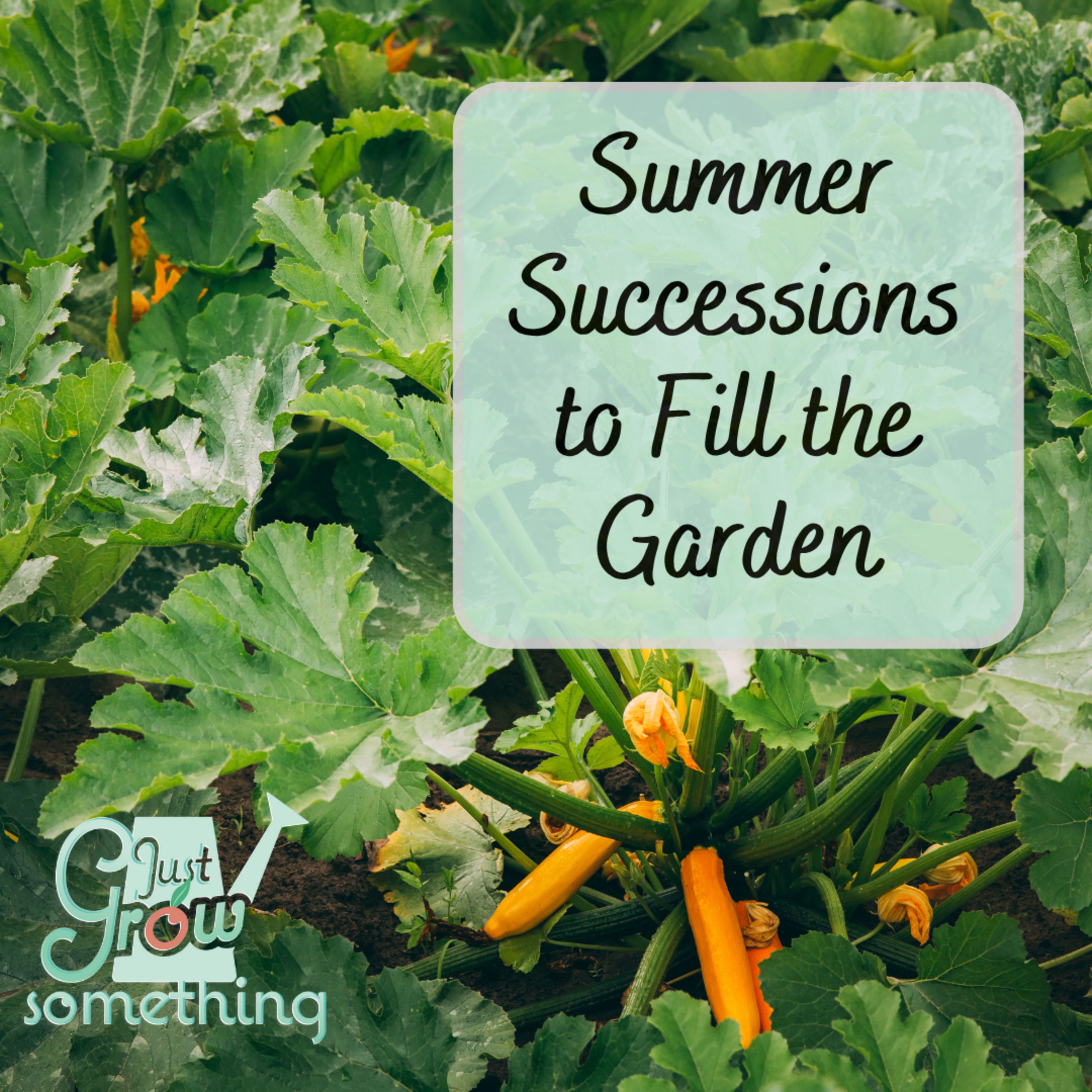 5 Quick Crops to Fill Summer Garden Gaps - Ep. 258