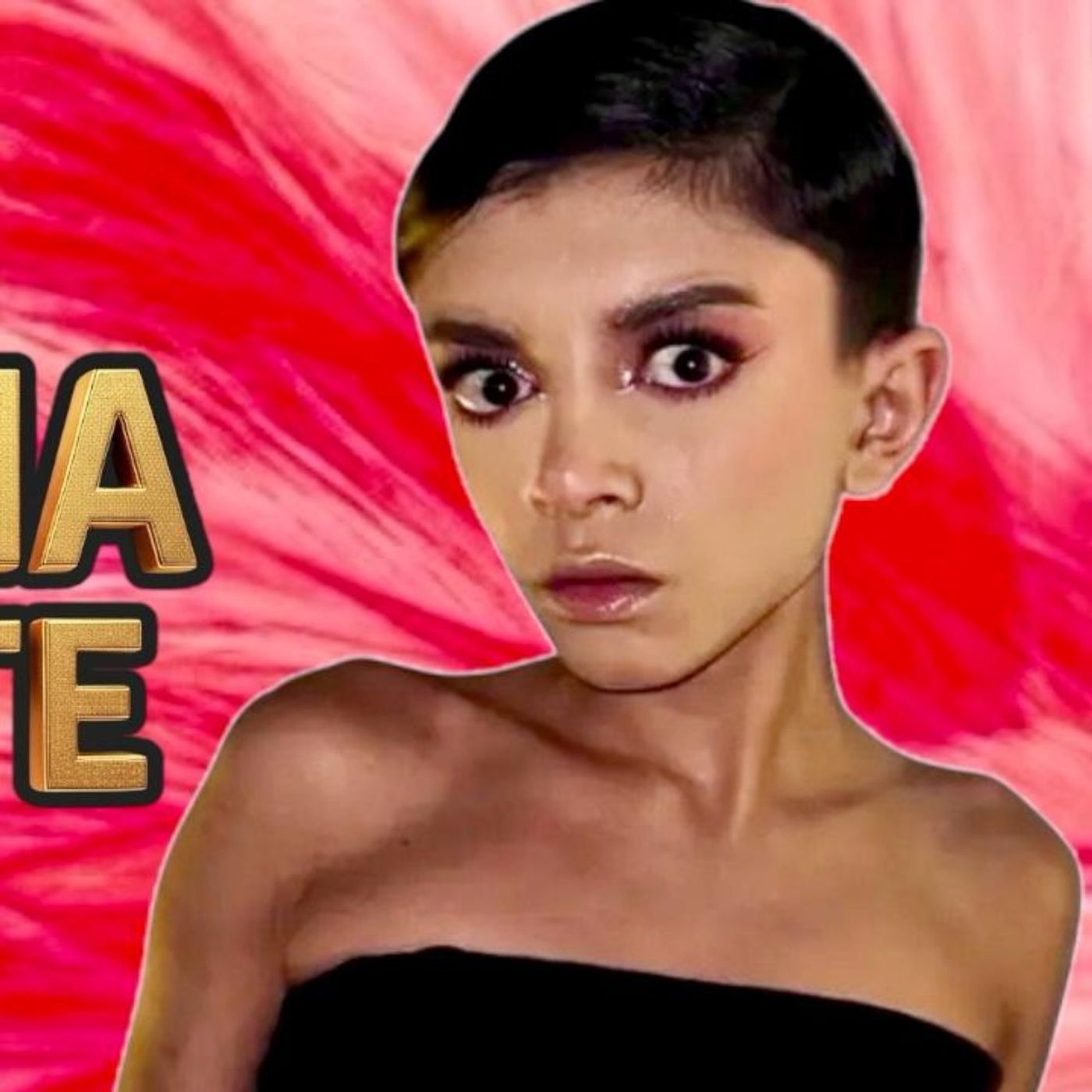 ¿QUIÉN CUIDA, GUÍA Y PROTEGE A LA VENENITO? El abandono de una influencer