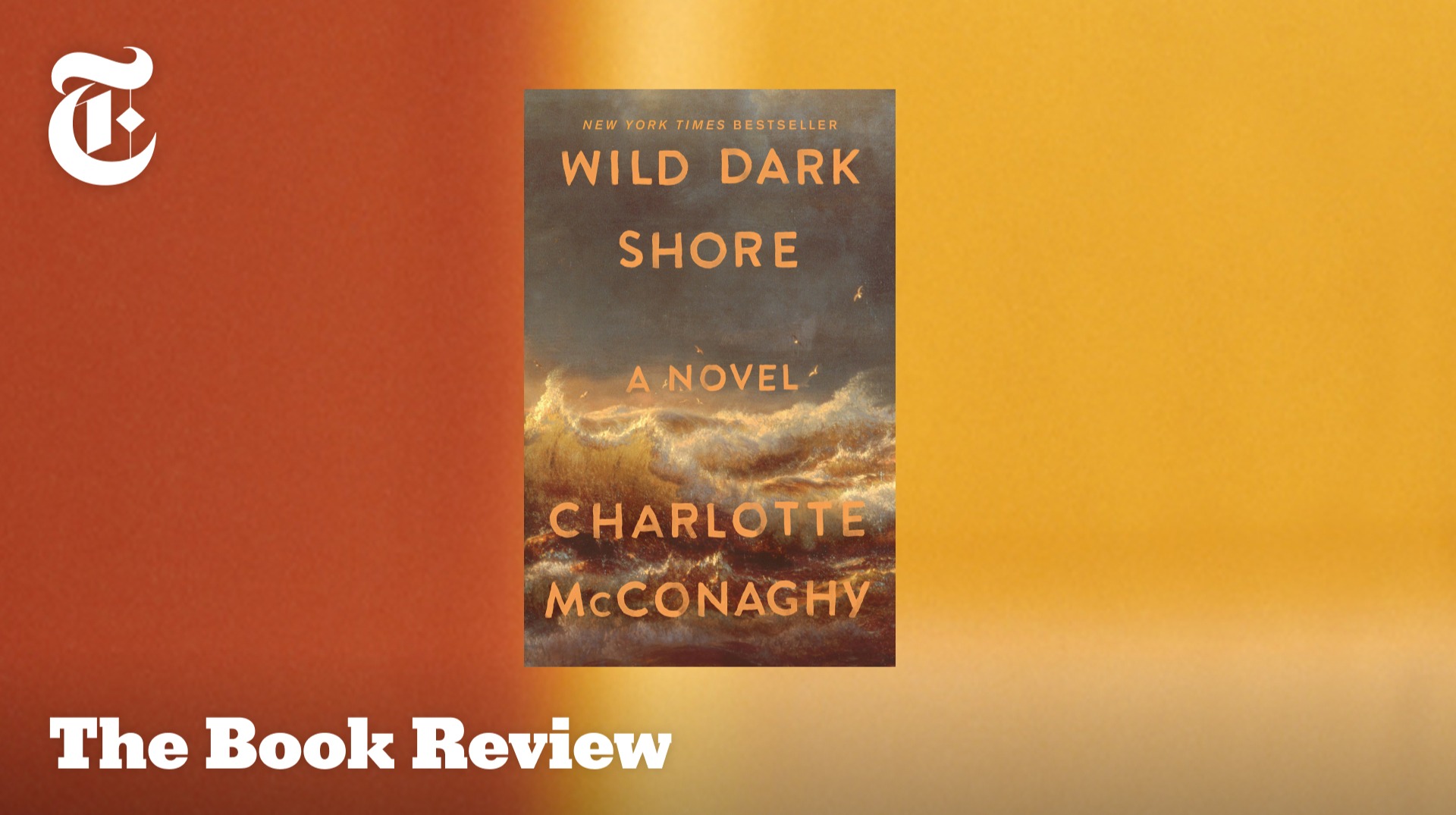 Book Club: Let's Talk About 'Wild Dark Shore,' by Charlotte McConaghy
