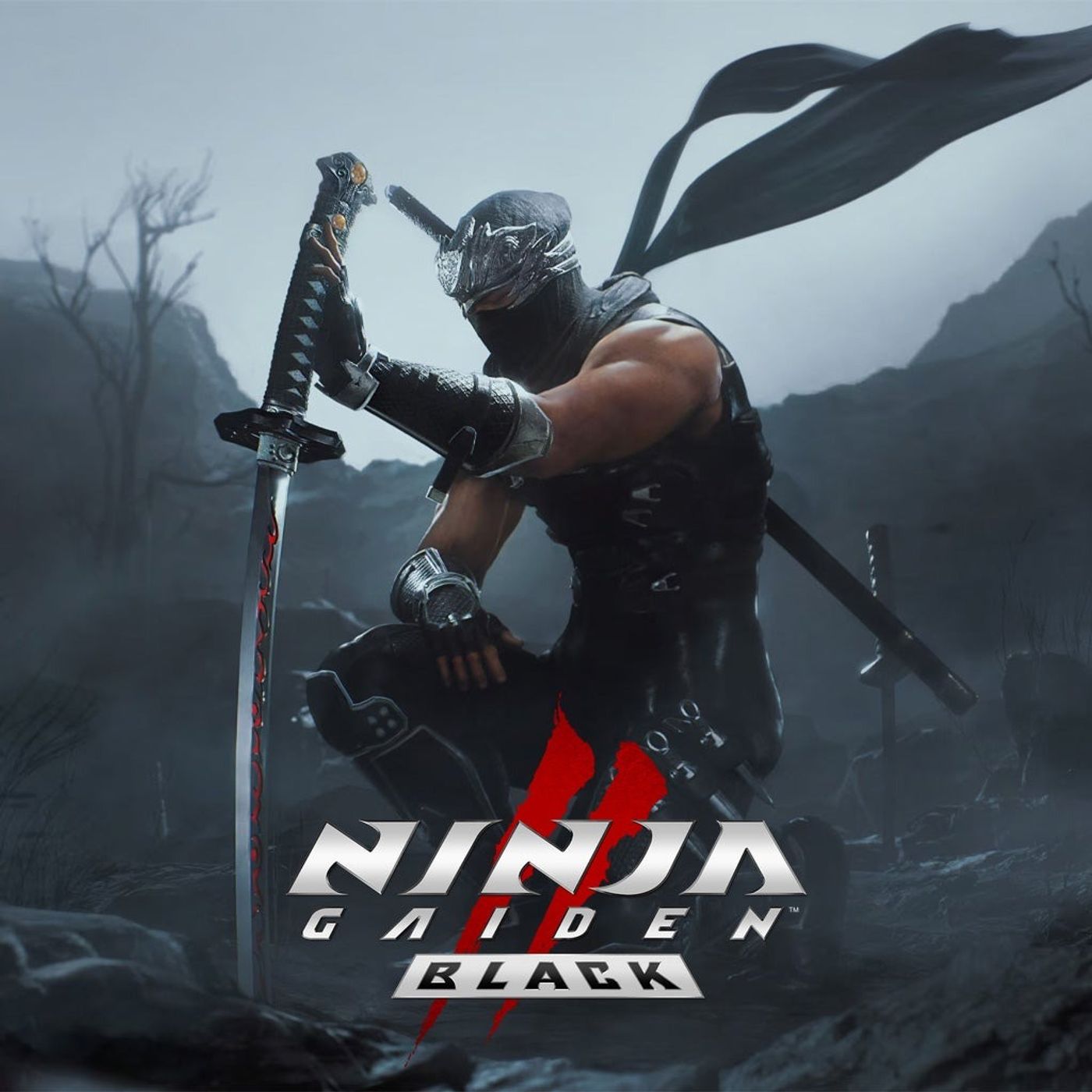 Ninja Gaiden 2 Black, 2 Black 2 Furious