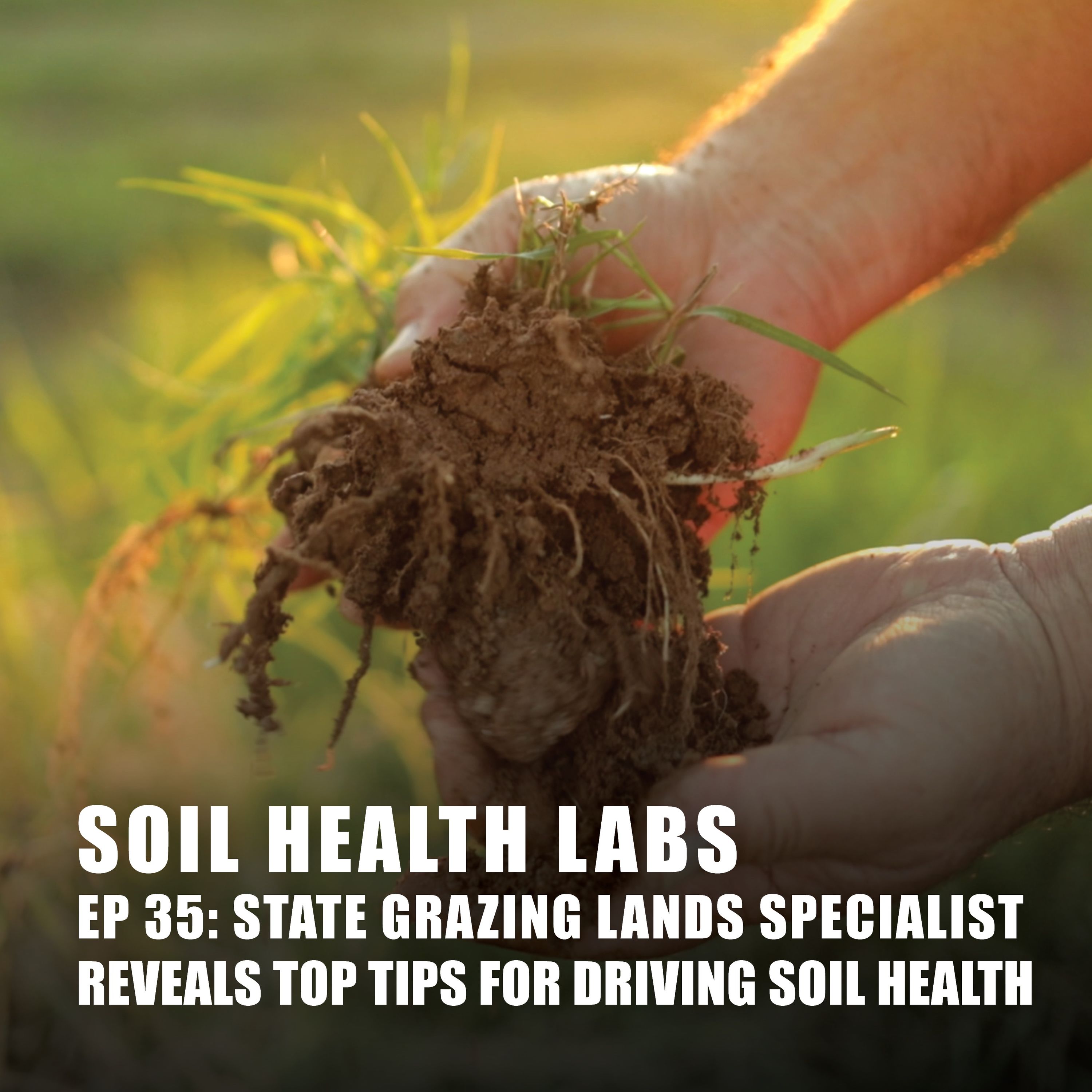 35 State Grazing Lands Specialist Reveals Top Tips for Driving Soil Health