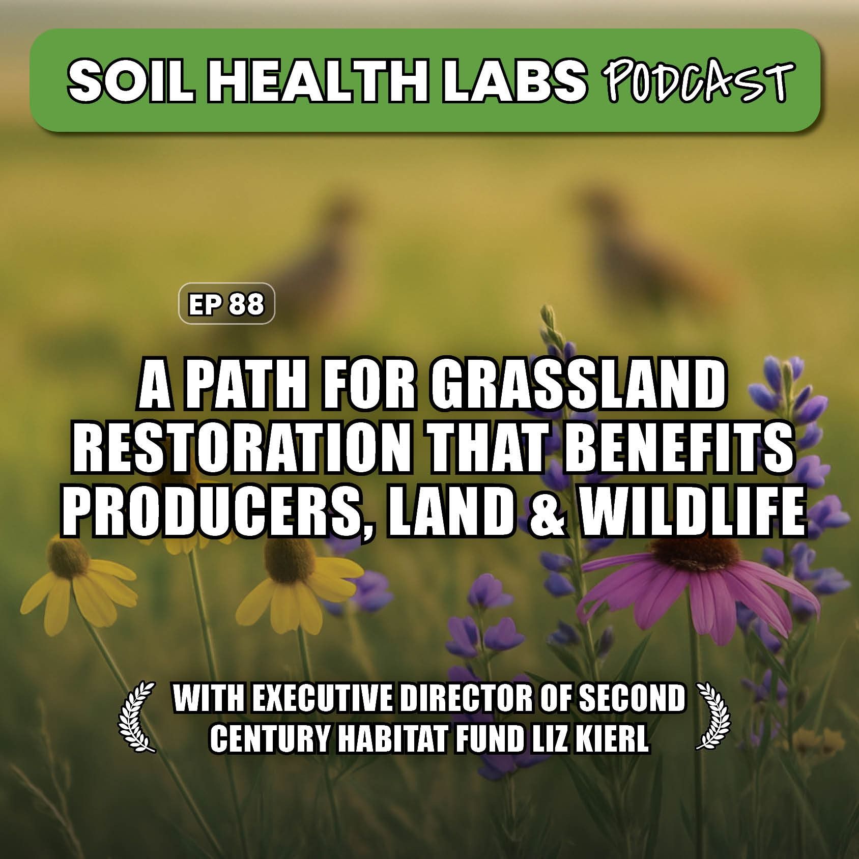 A Path for Grassland Restoration that Benefits Producers, Land and Wildlife