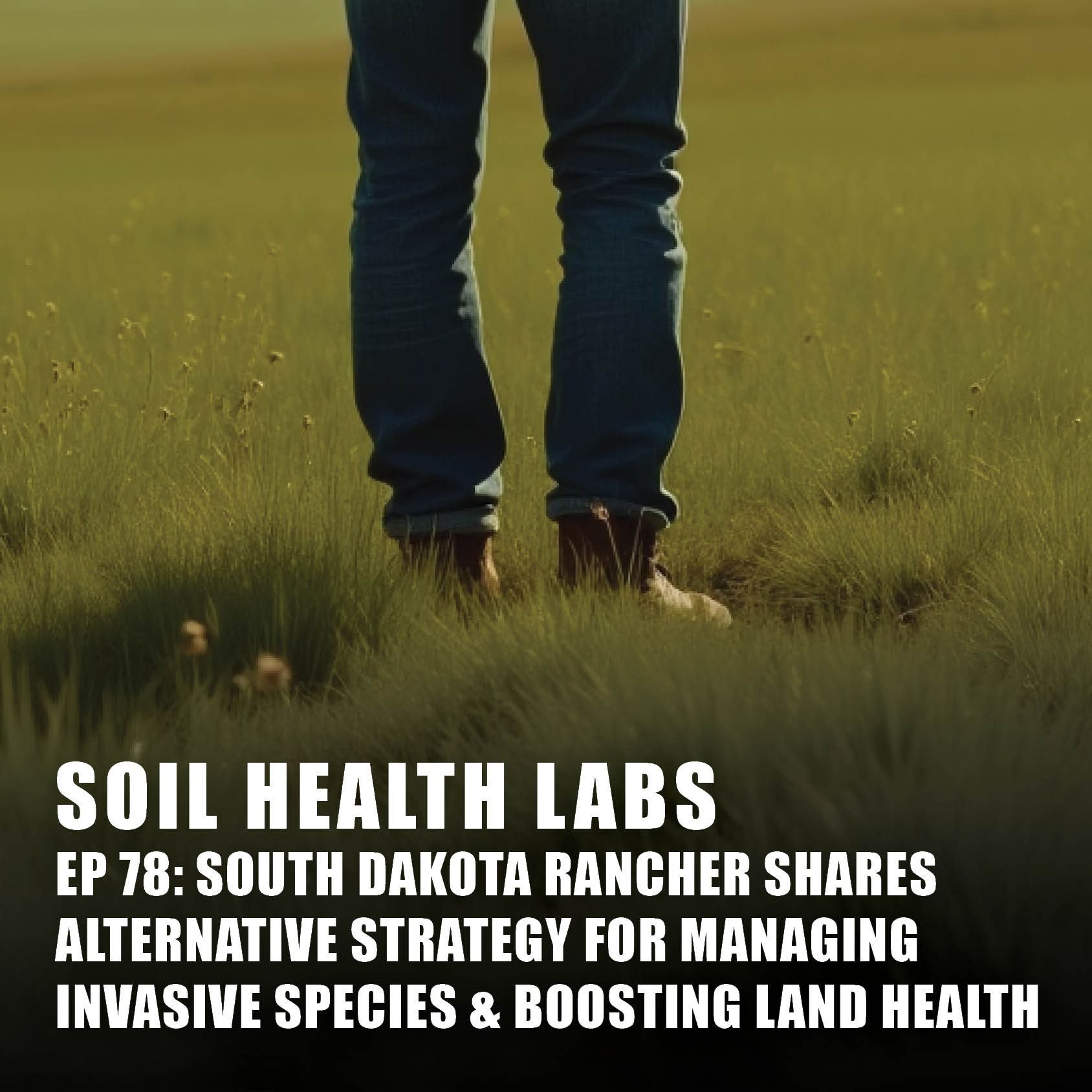 South Dakota Rancher Shares Alternative Strategy for Managing Invasive Species & Boosting Land Health