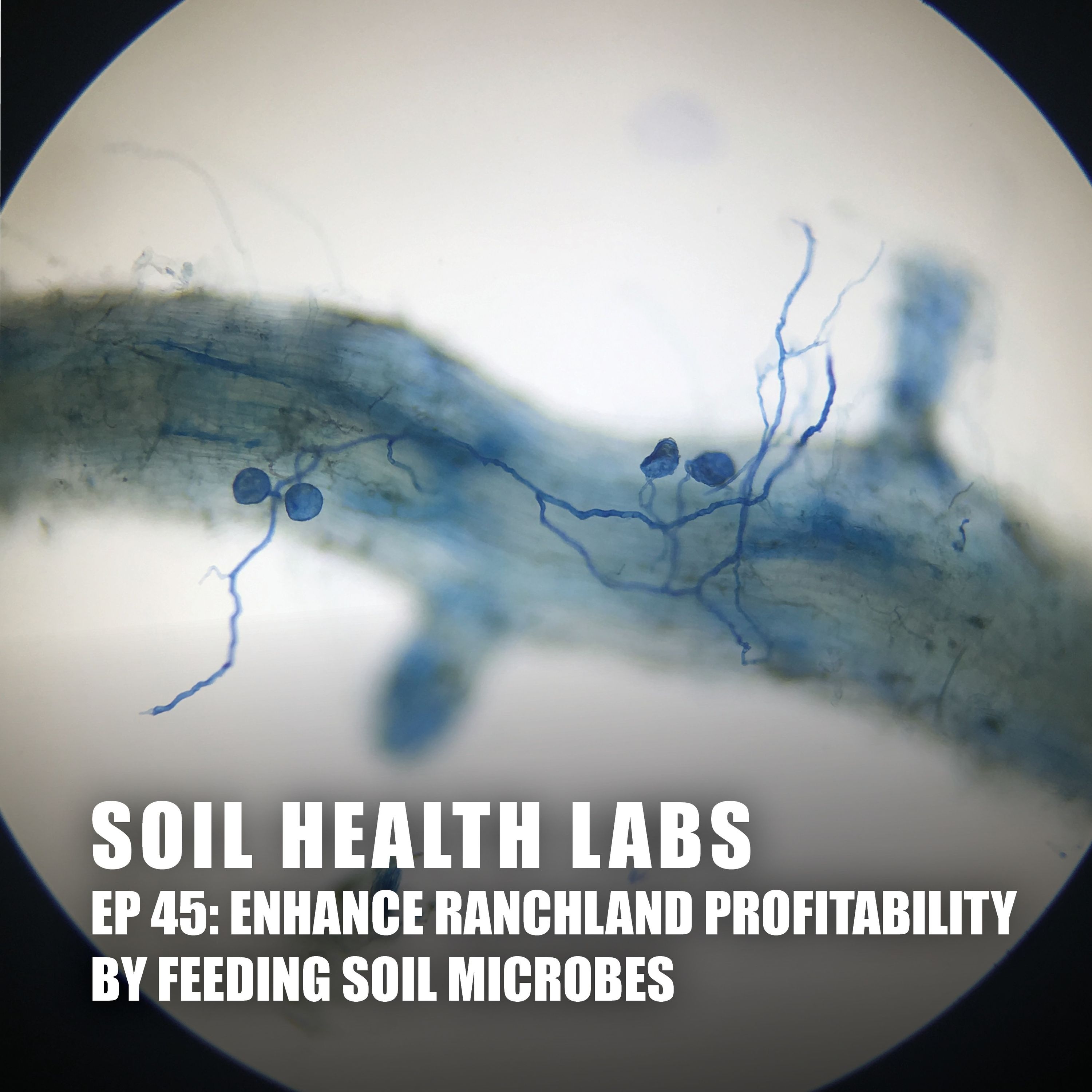 Soil Health Labs