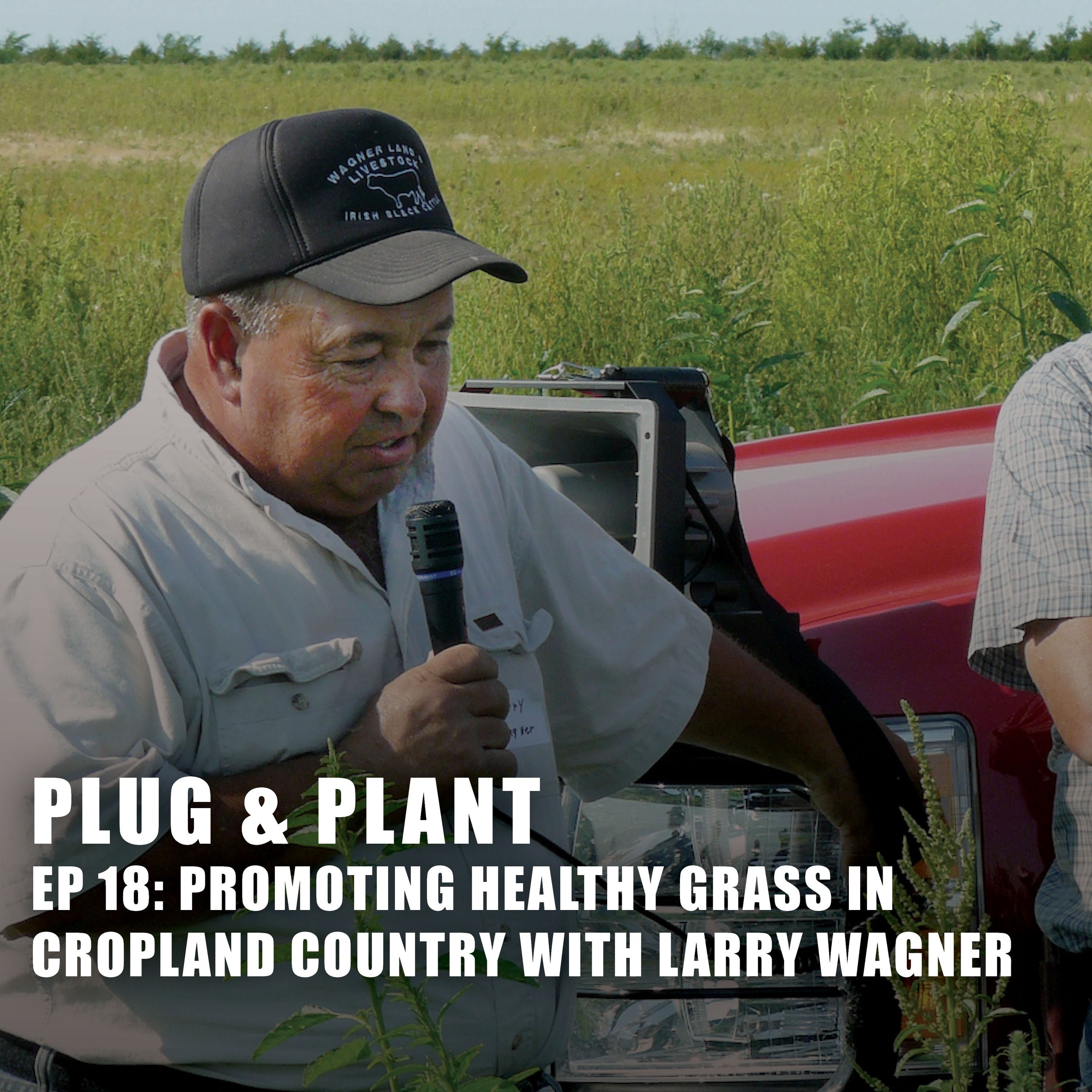 18 Promoting Healthy Grass in Cropland Country with Larry Wagner