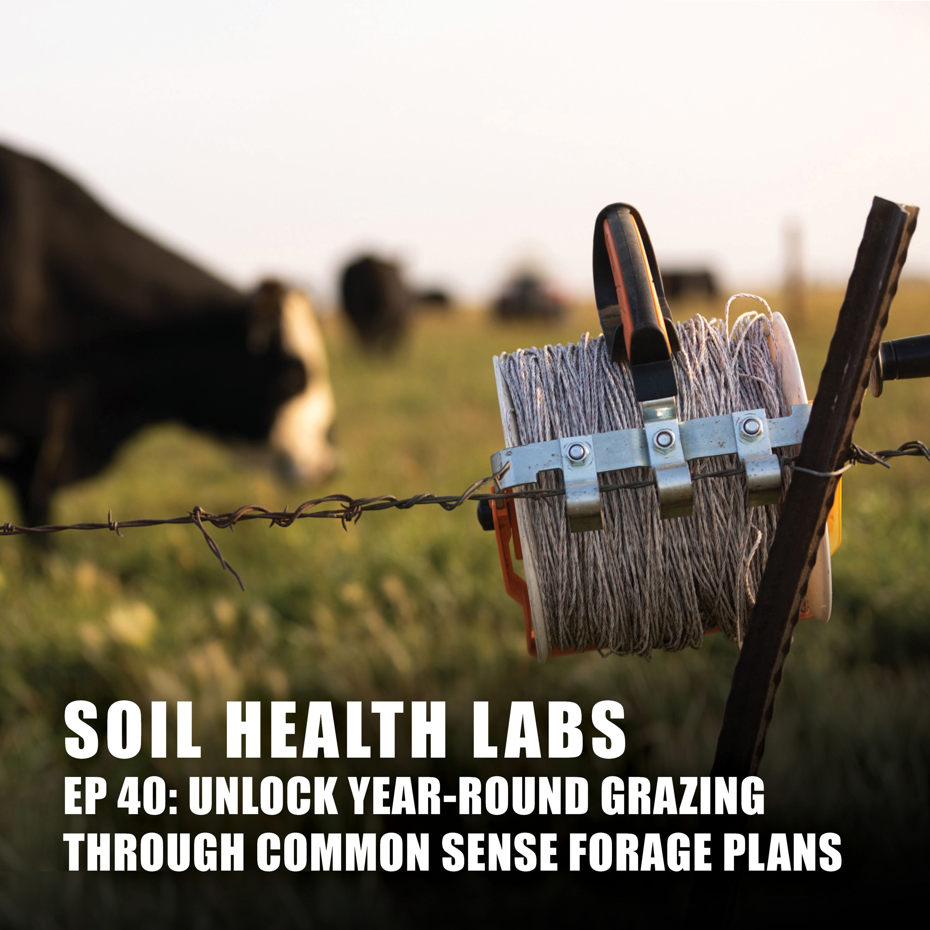 Soil Health Labs
