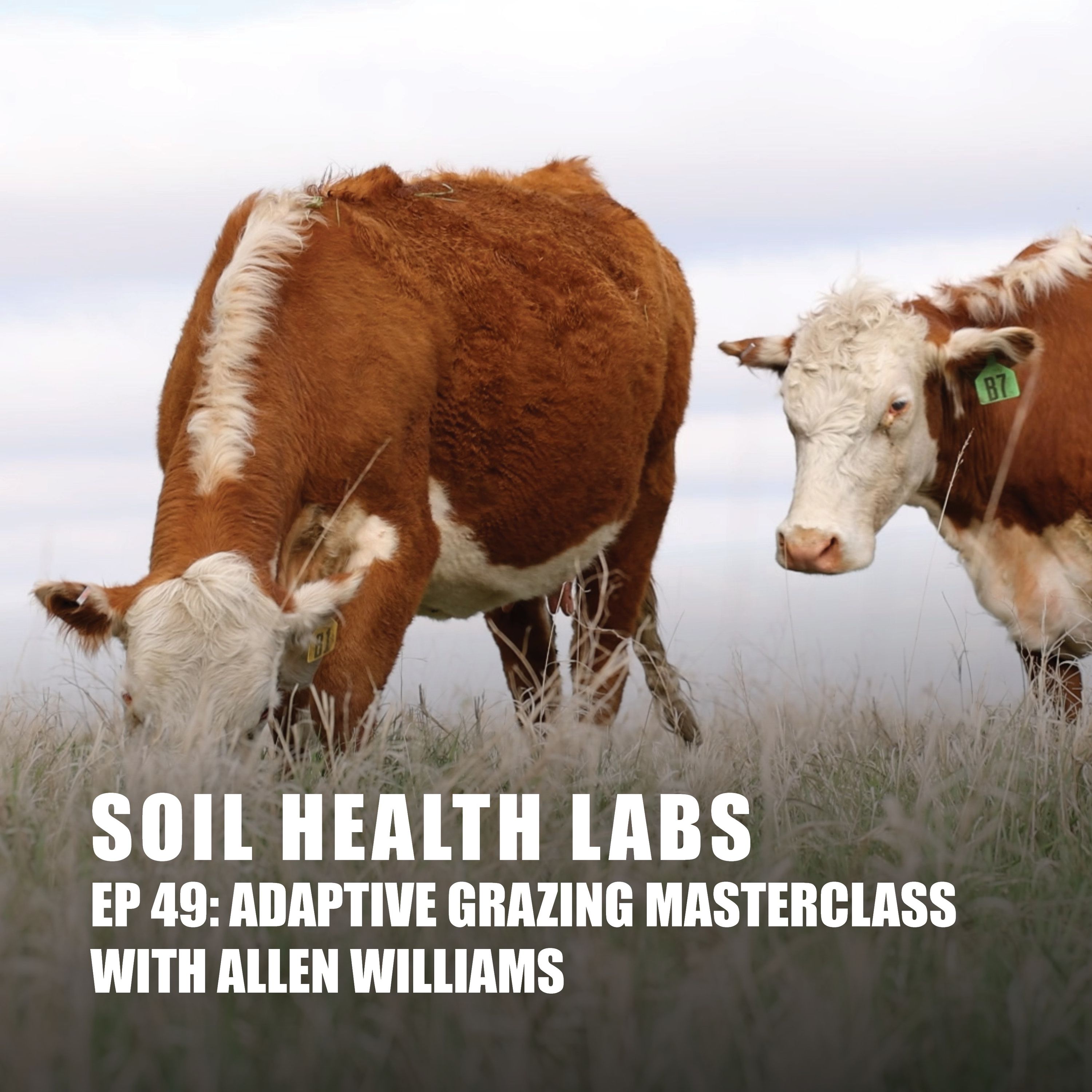 Soil Health Labs