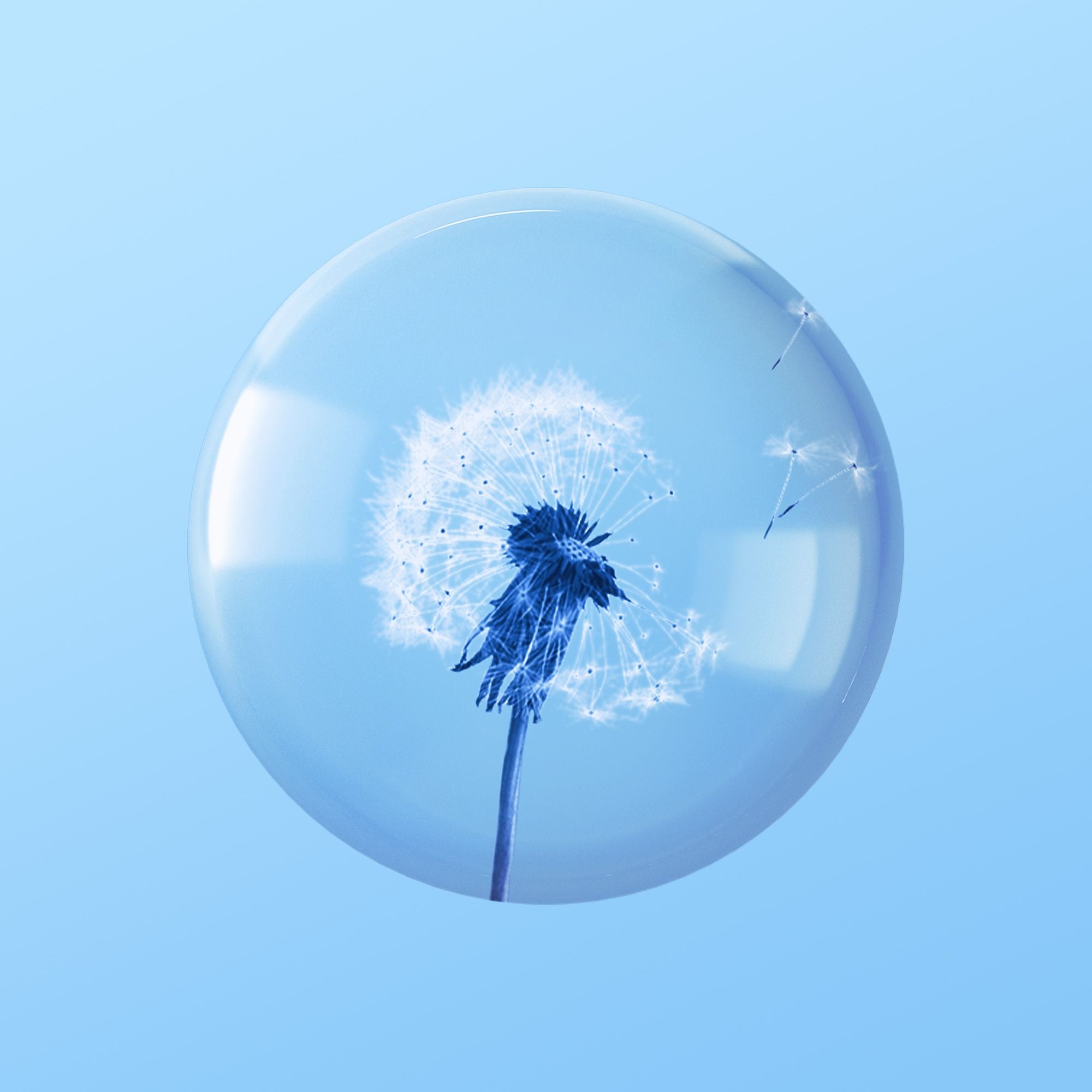 Seasonal Allergies Are Getting Worse (Encore)