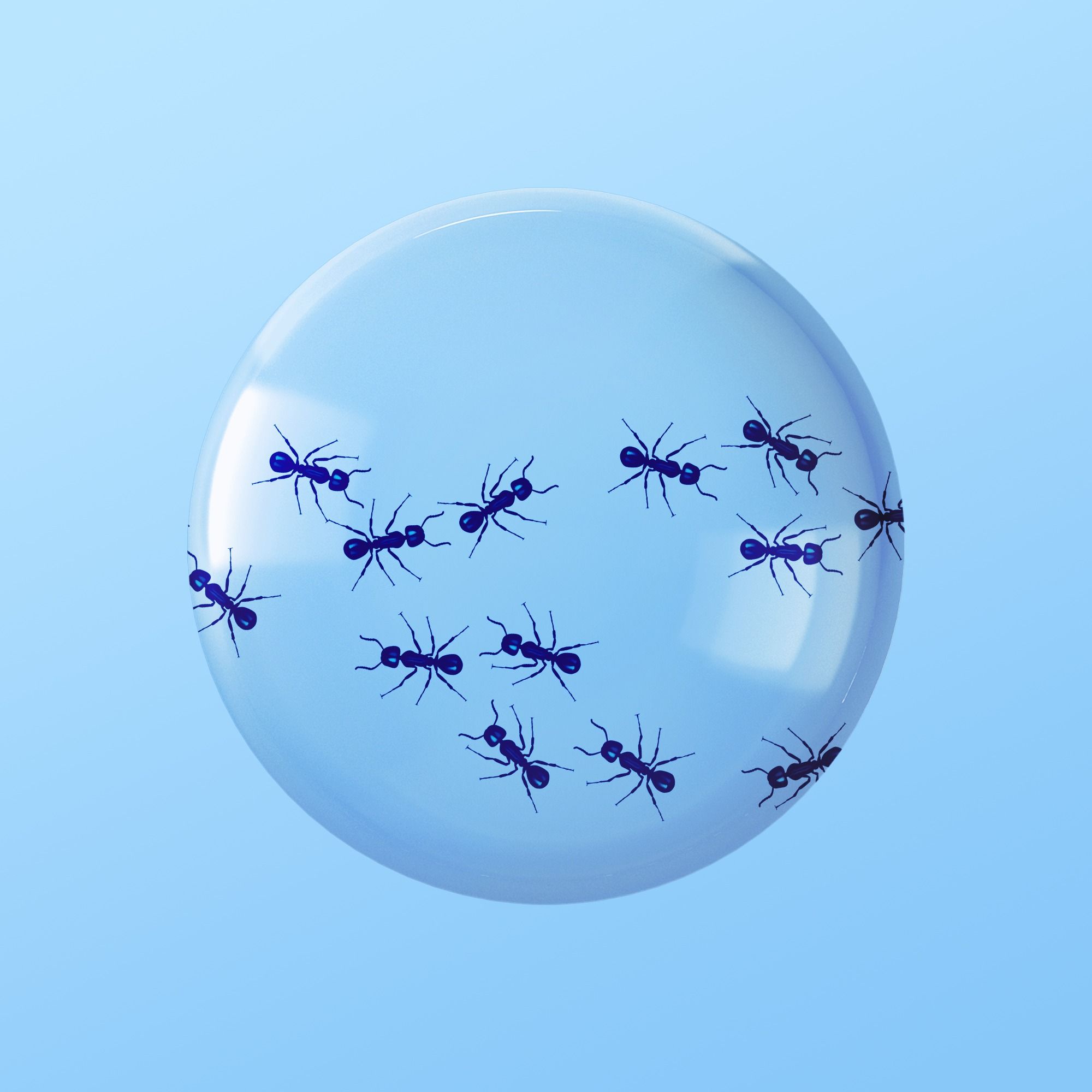 How to Get Rid of Ants and Roaches for Good