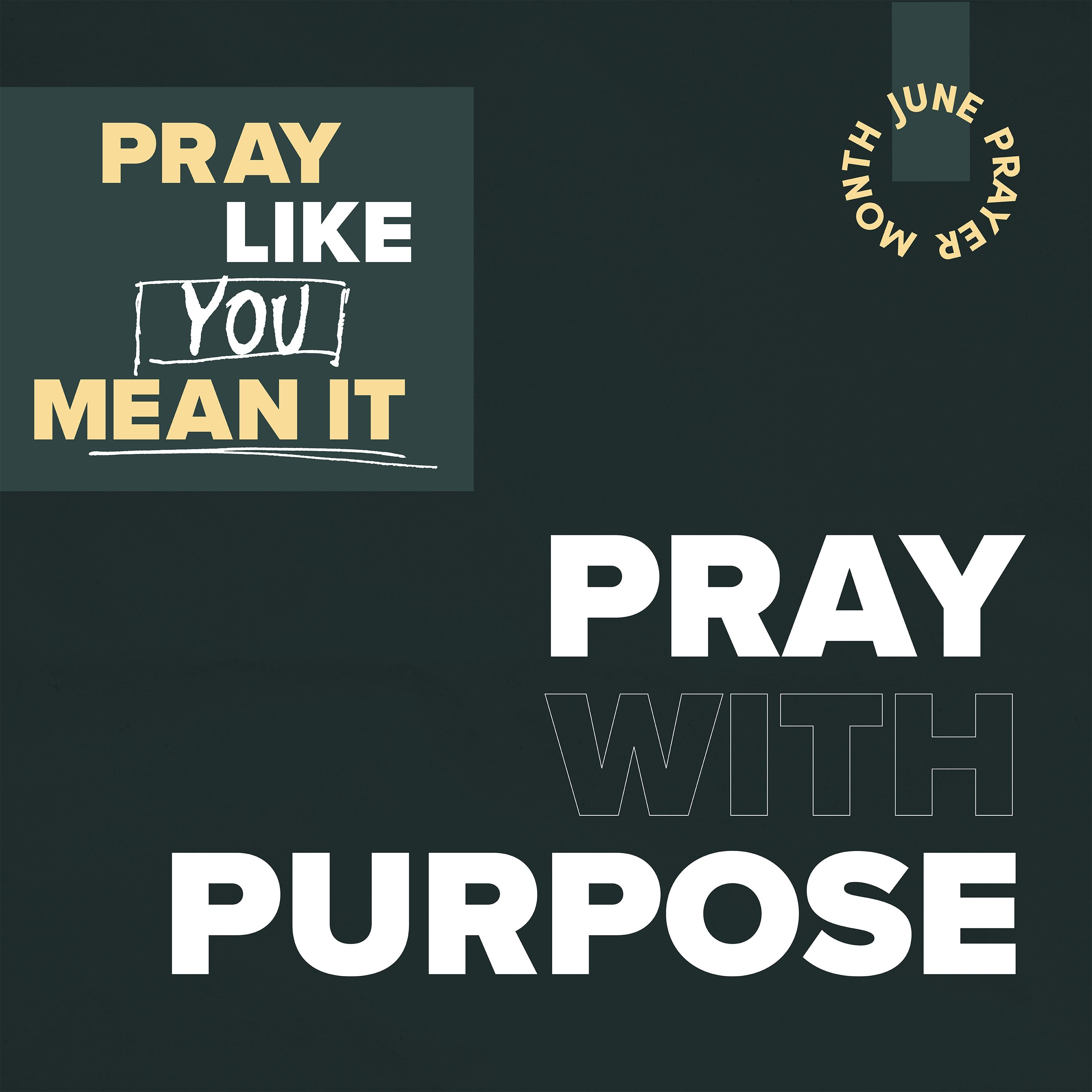 Pray Like You Mean It: Pray With Purpose - Robbie Townsend episode artwork