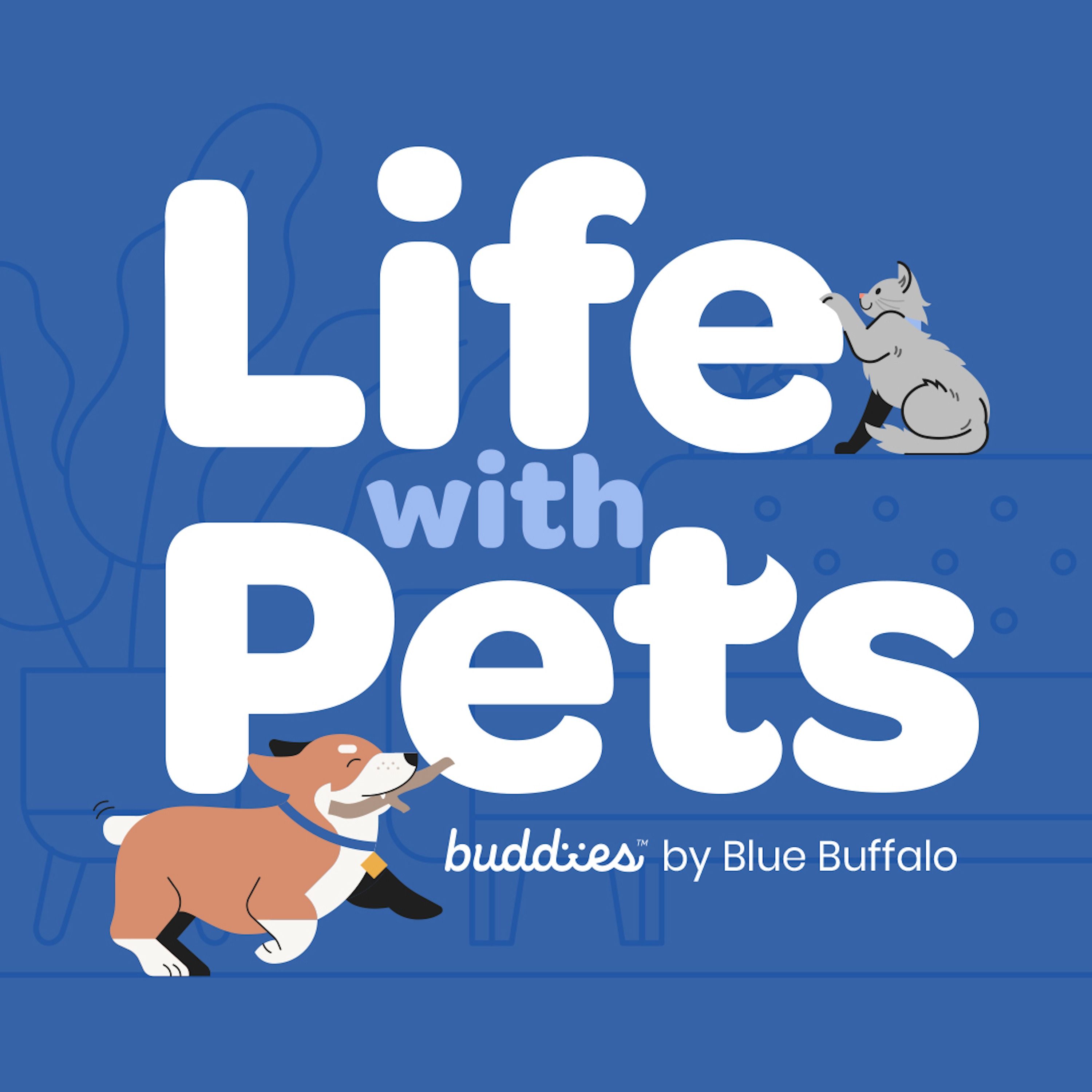 Welcome to Life With Pets