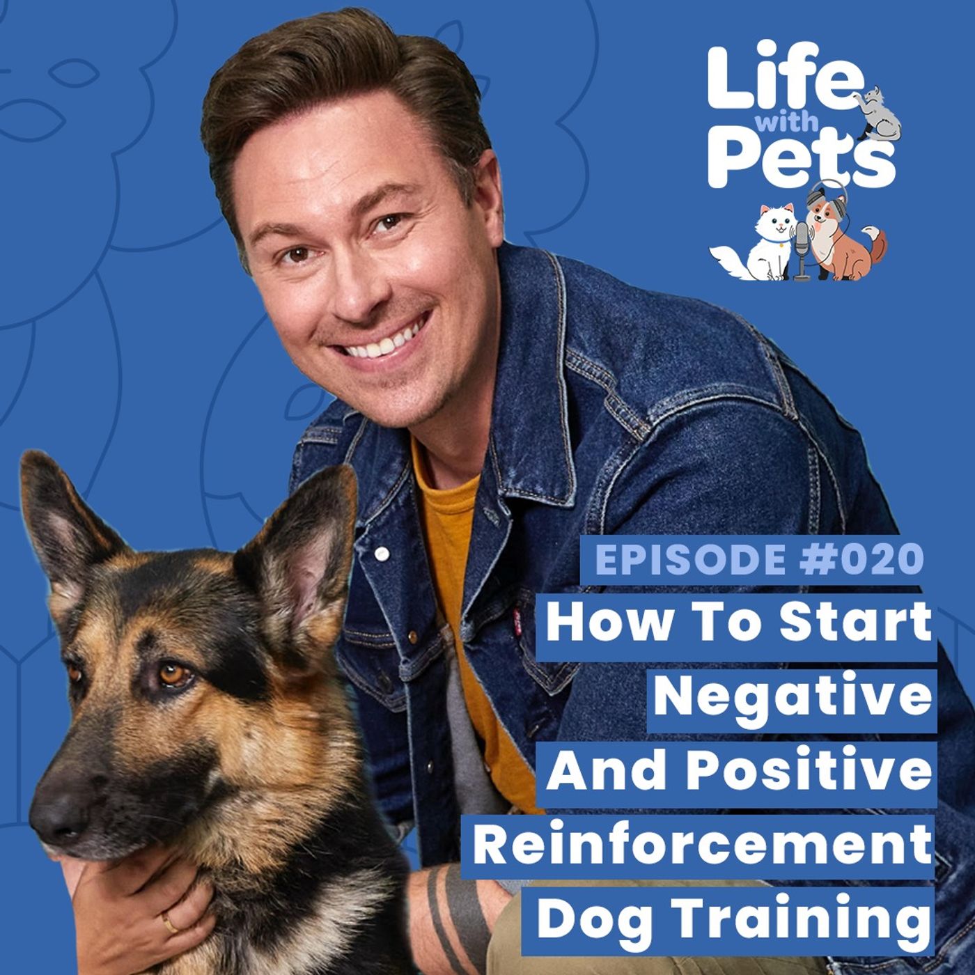 How To Start Negative And Positive Reinforcement Dog Training