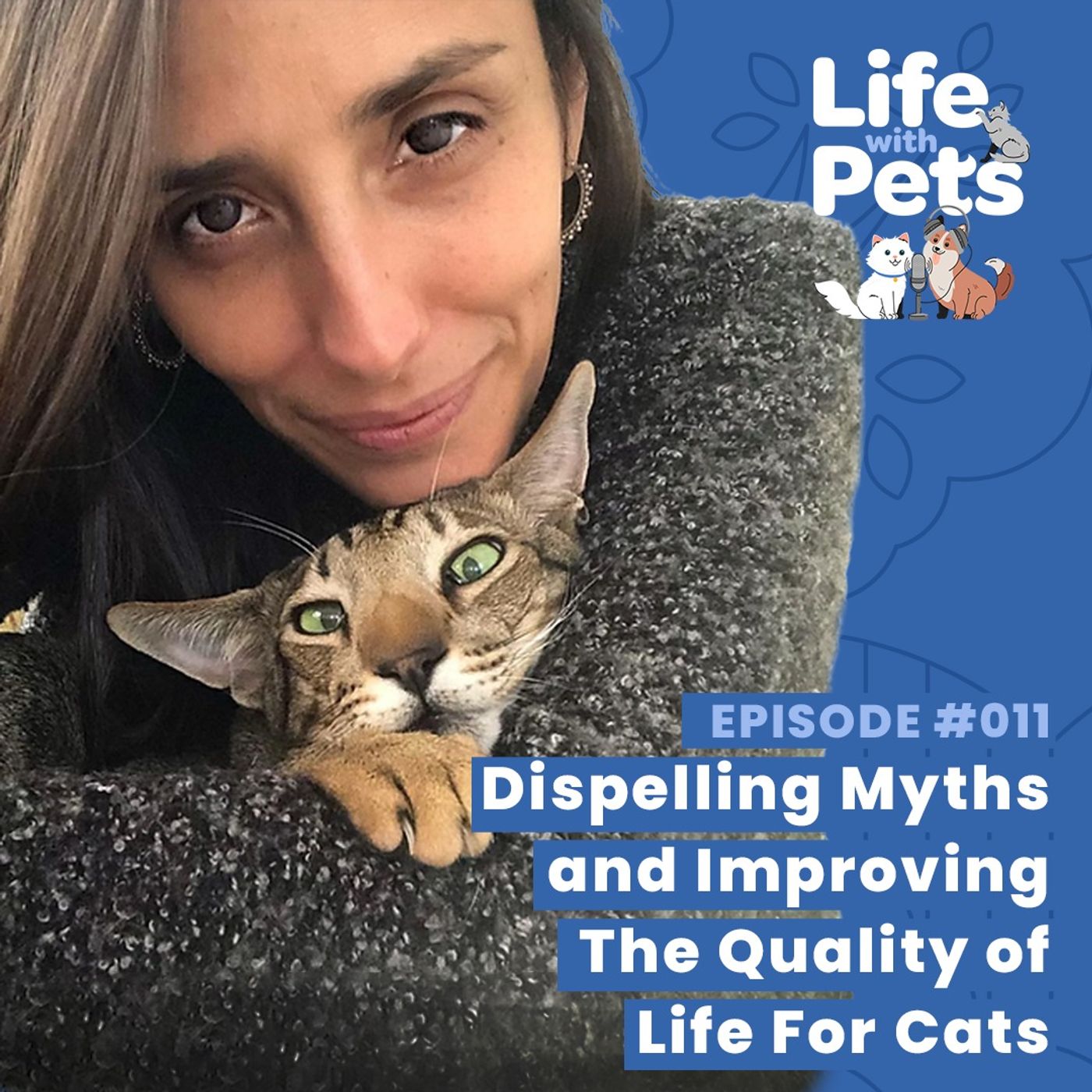 Dispelling Myths and Improving The Quality of Life For Cats