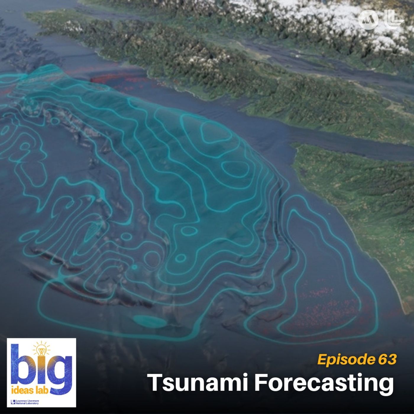 Tsunami Forecasting episode artwork