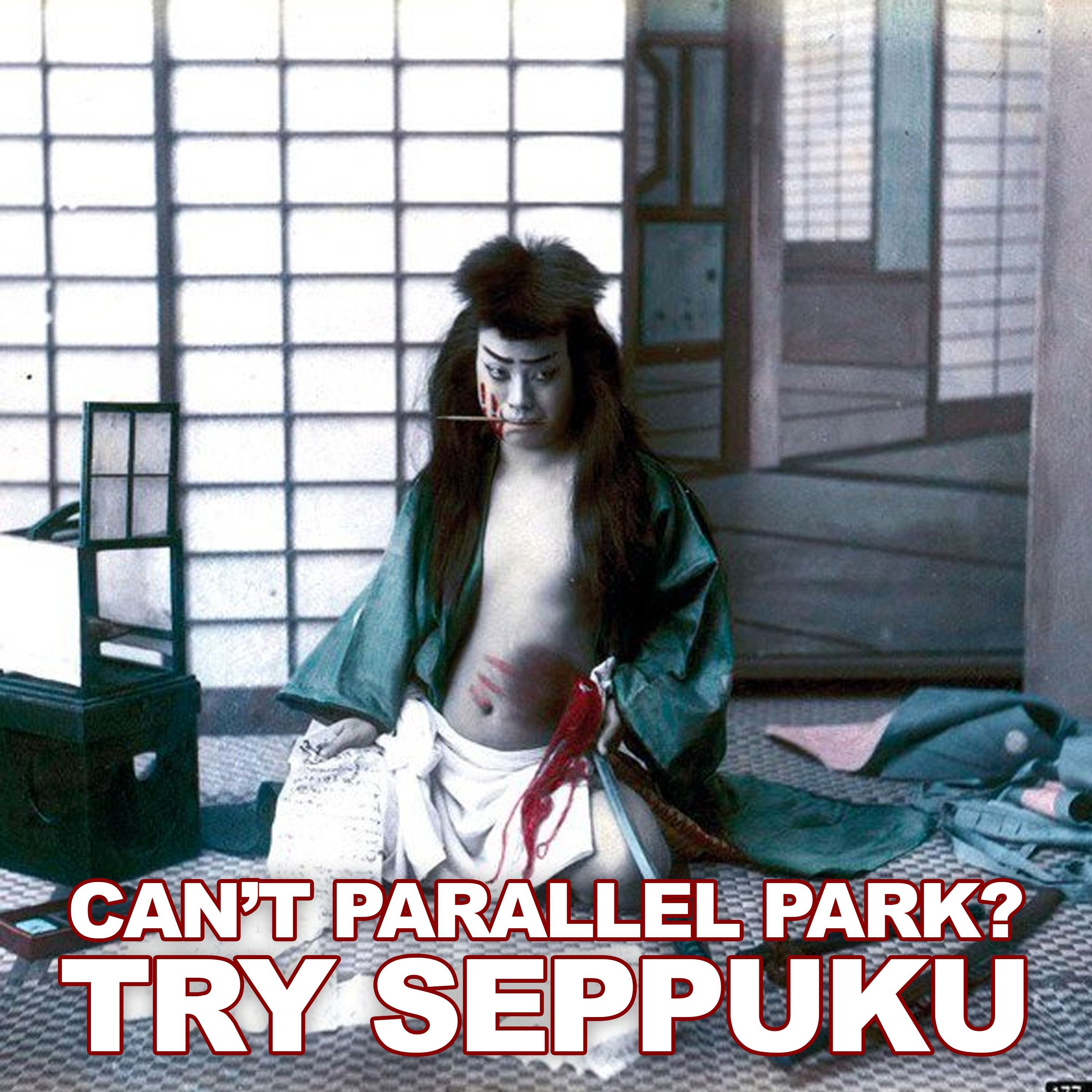 Can't Parallel park? Try Seppuku.