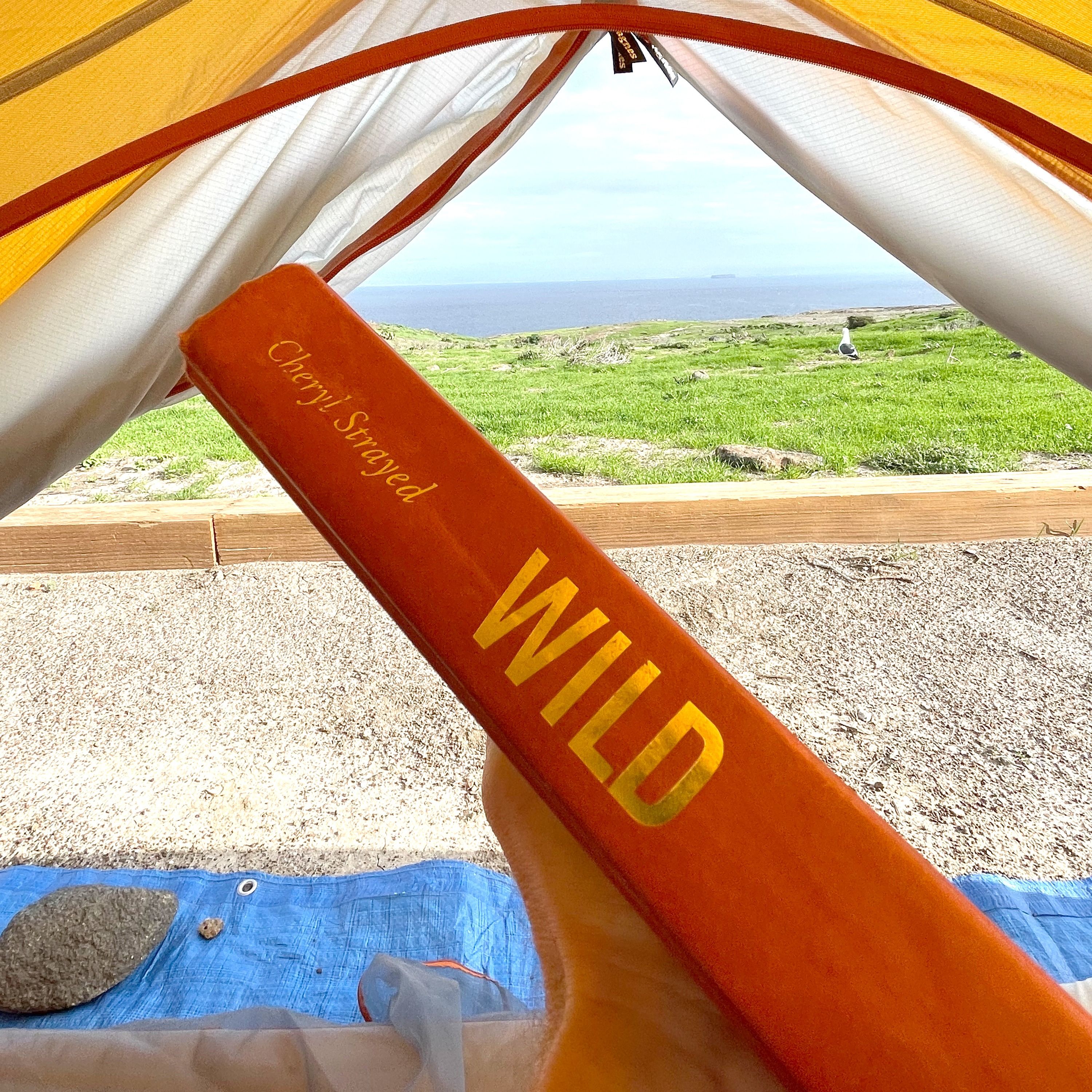Wild by Cheryl Strayed