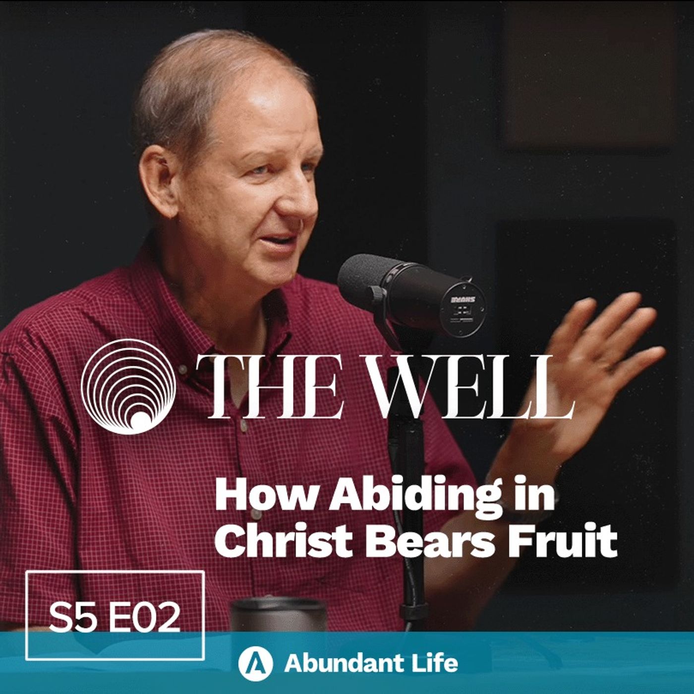How Abiding in Christ Bears Fruit | The Well Podcast S5E02