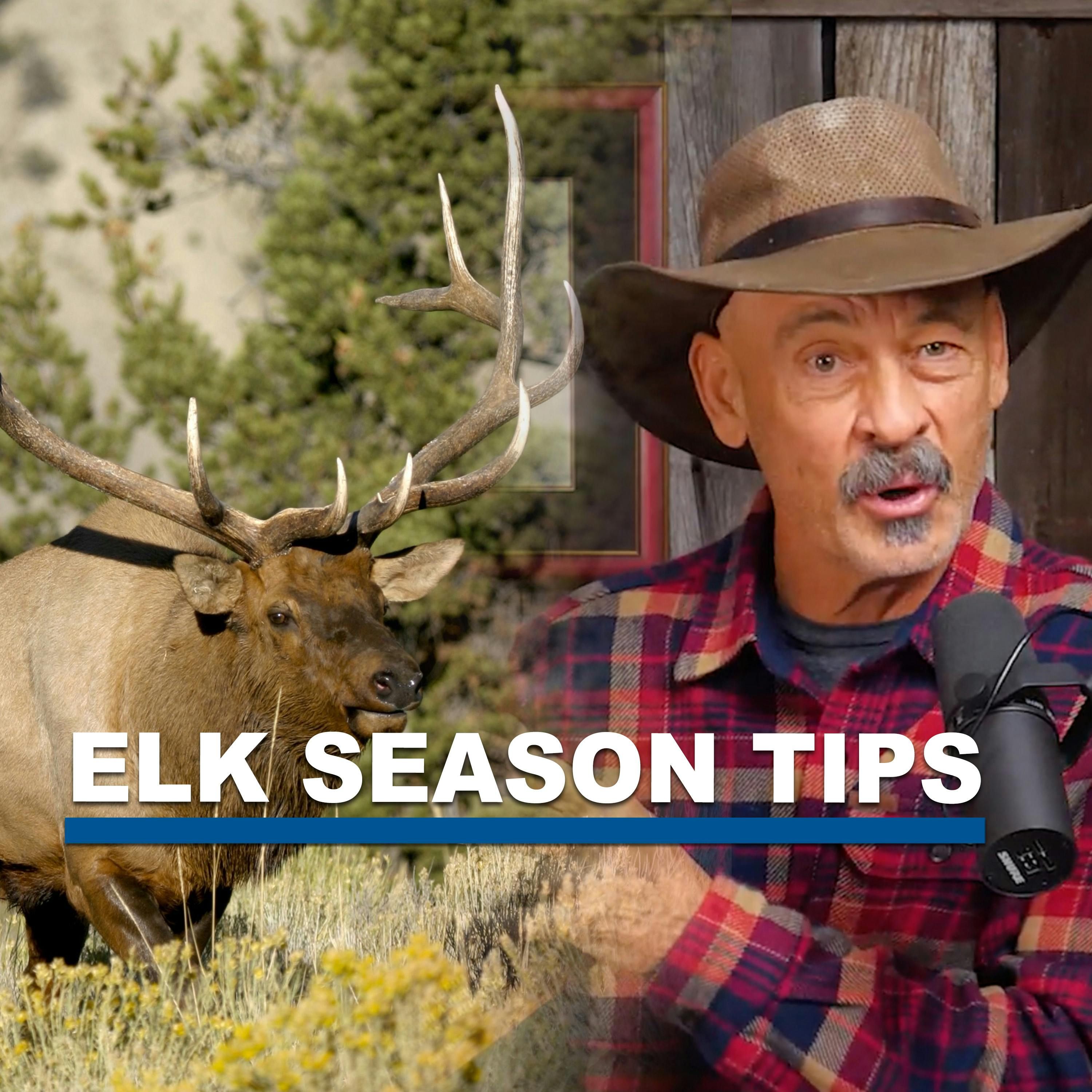 Eps 384: All About Elk!