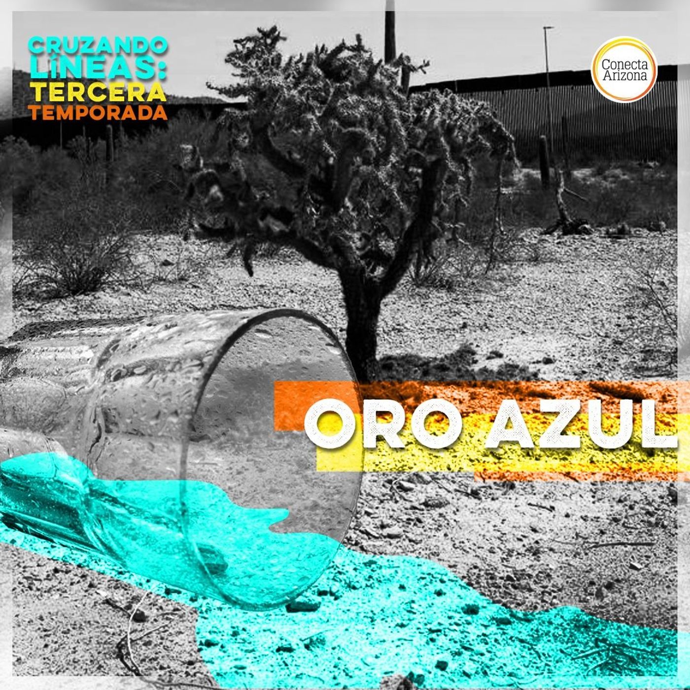 Portada de Cruzando Líneas