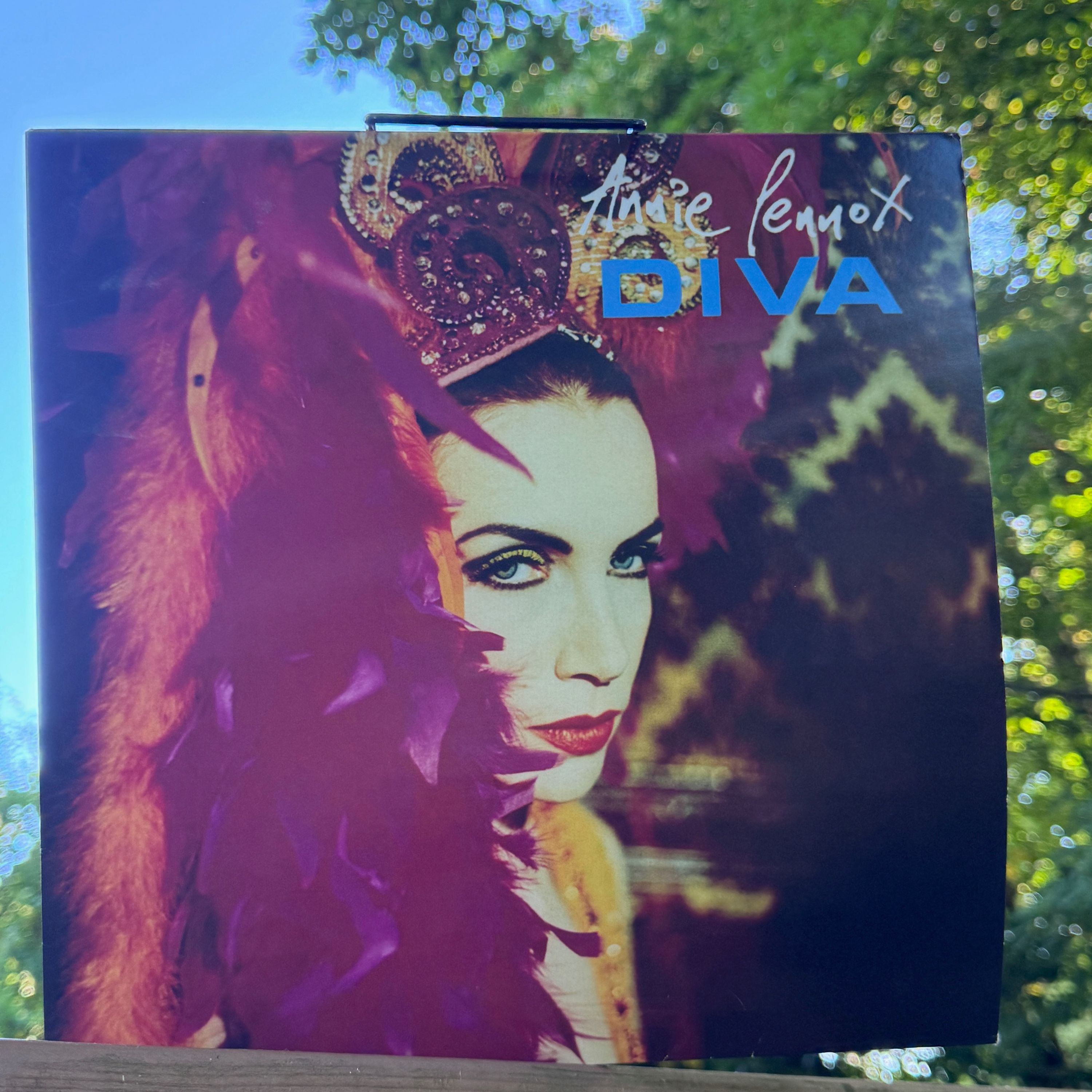 "Little Bird" by Annie Lennox episode artwork