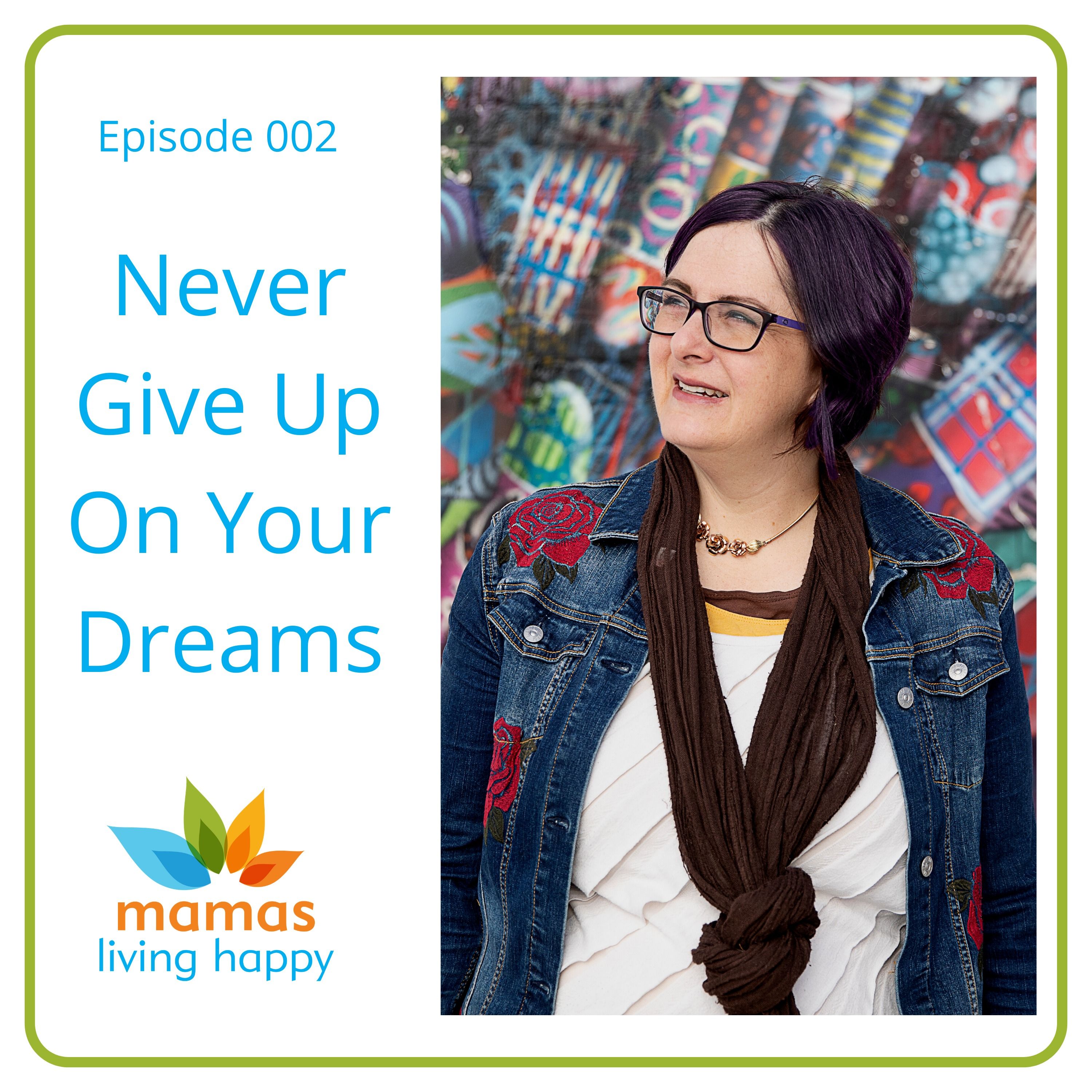 002 Never Give Up On Your Dreams