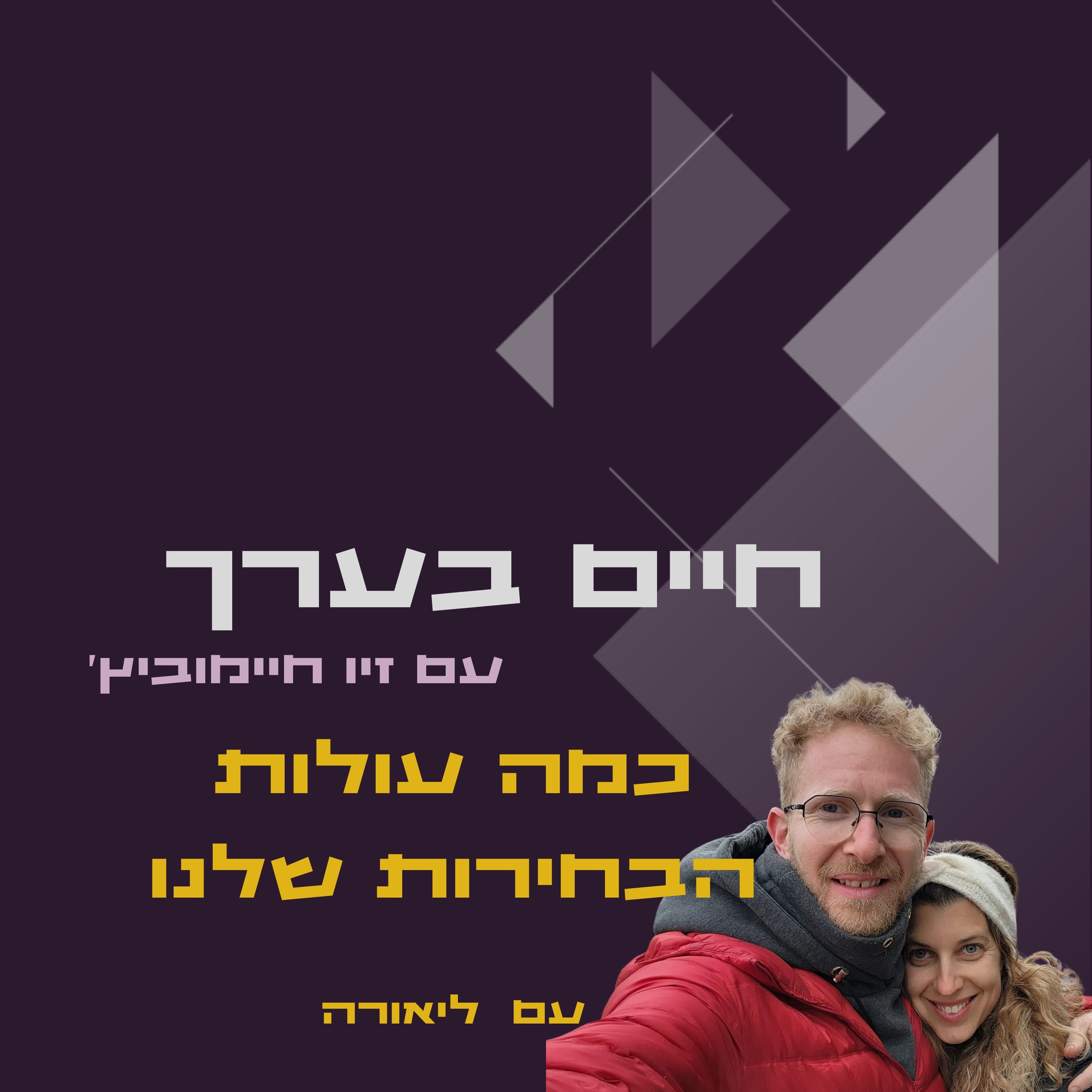 כמה עולות הבחירות שלנו episode artwork