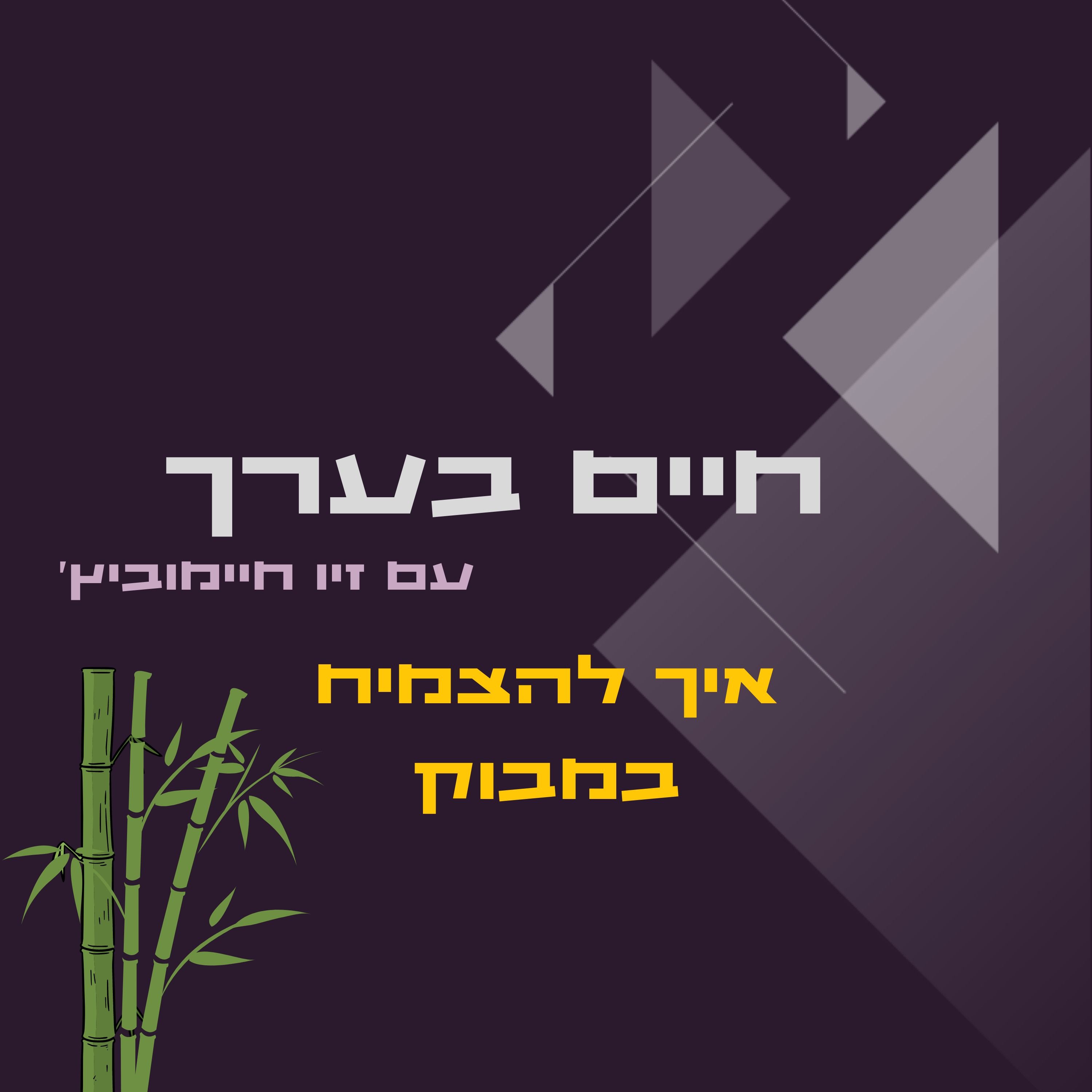 איך להצמיח במבוק episode artwork