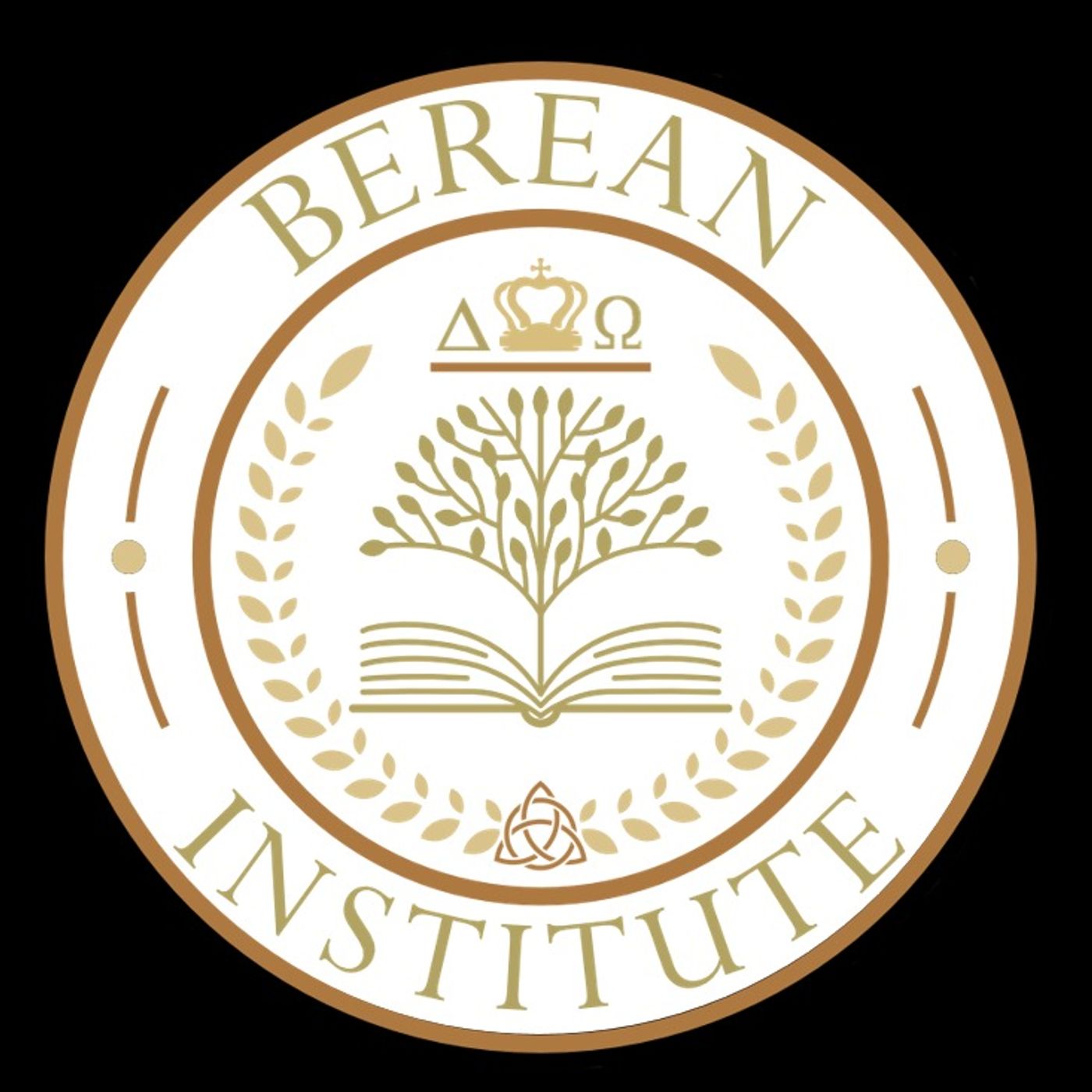 11-10-24, Jeromy Puckett-Berean Institute, Psalm 27 episode artwork