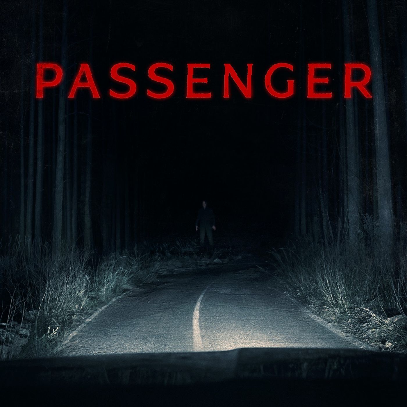 437. A Tale of the Passenger