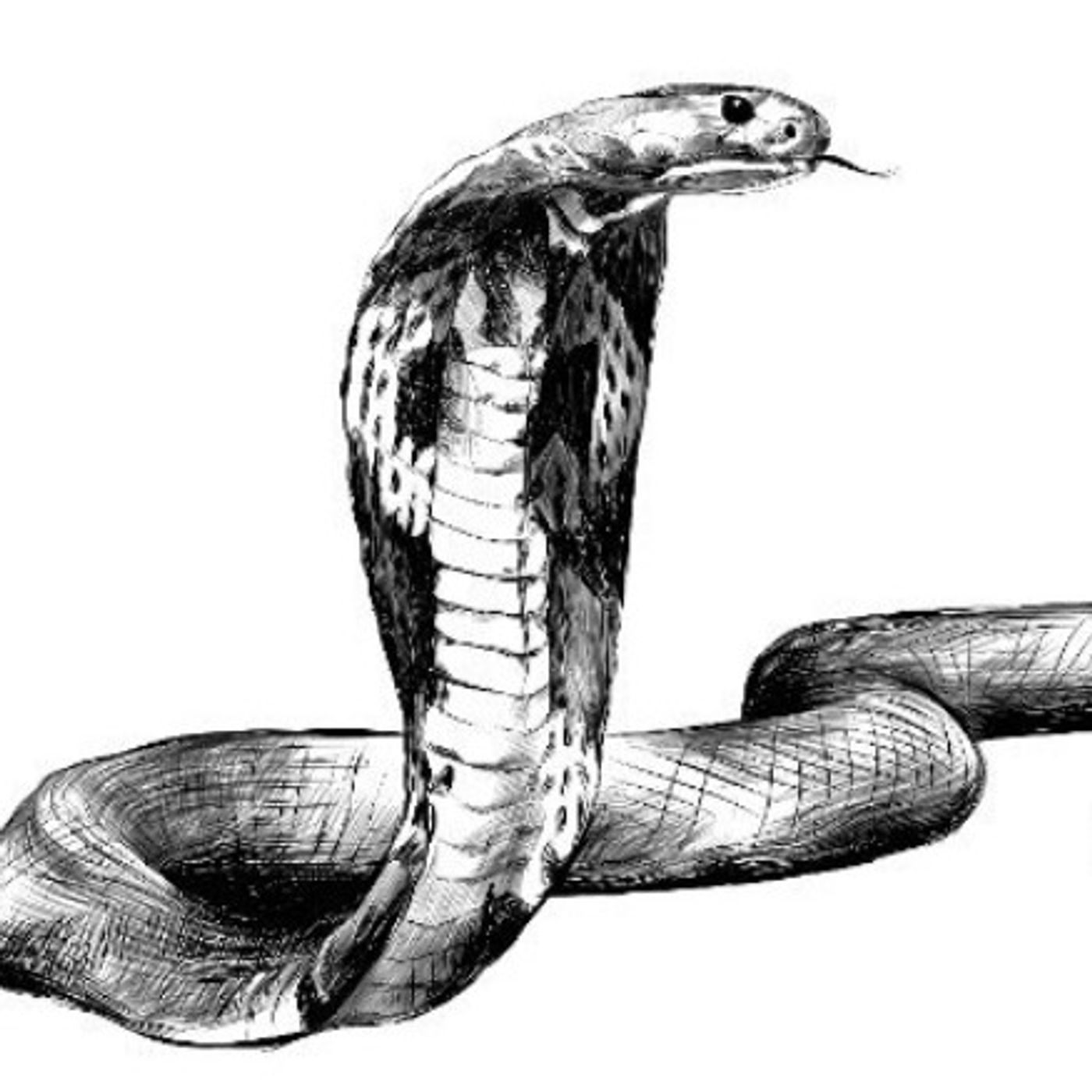 Doves vs. Serpents