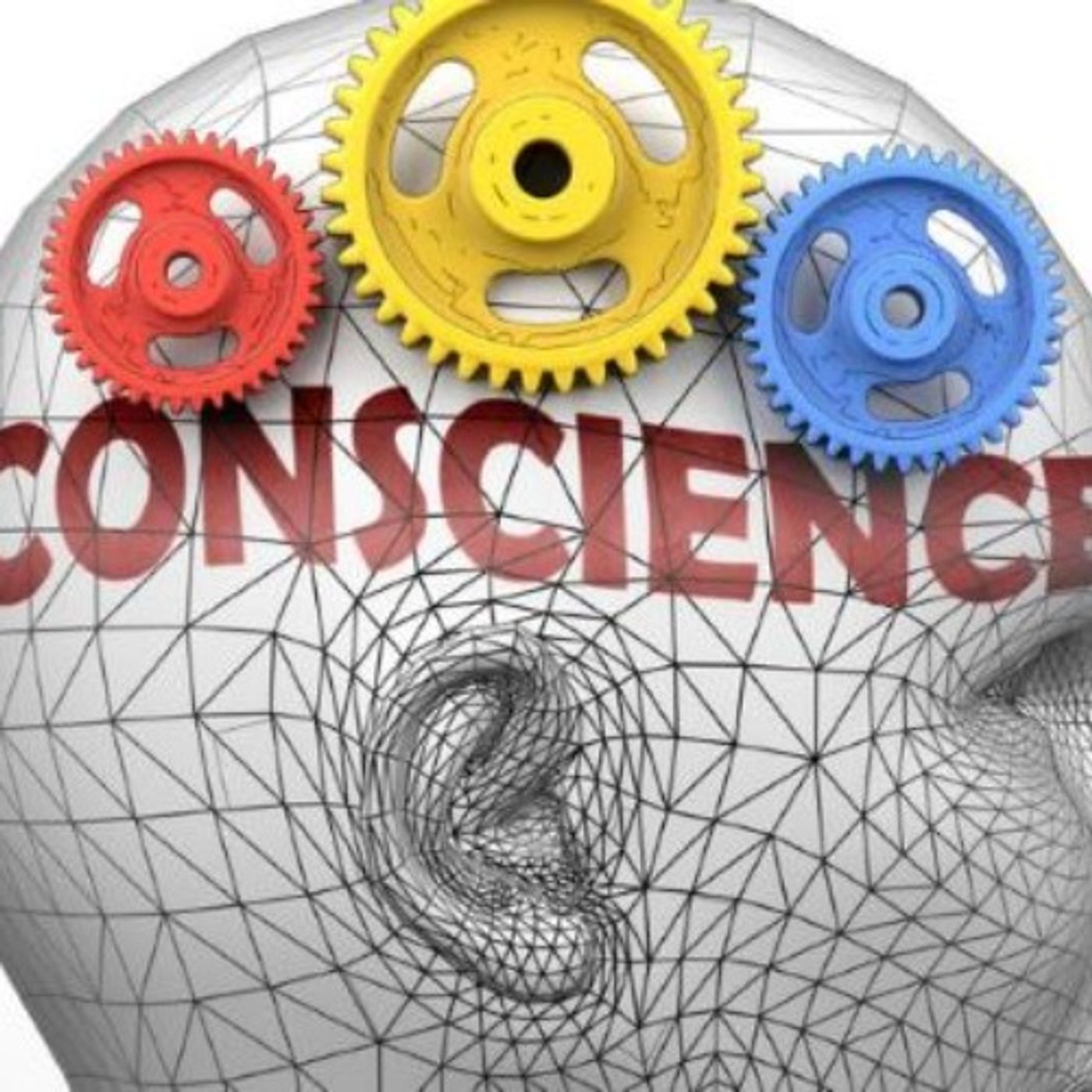 Moral Dilemmas and Judgements
