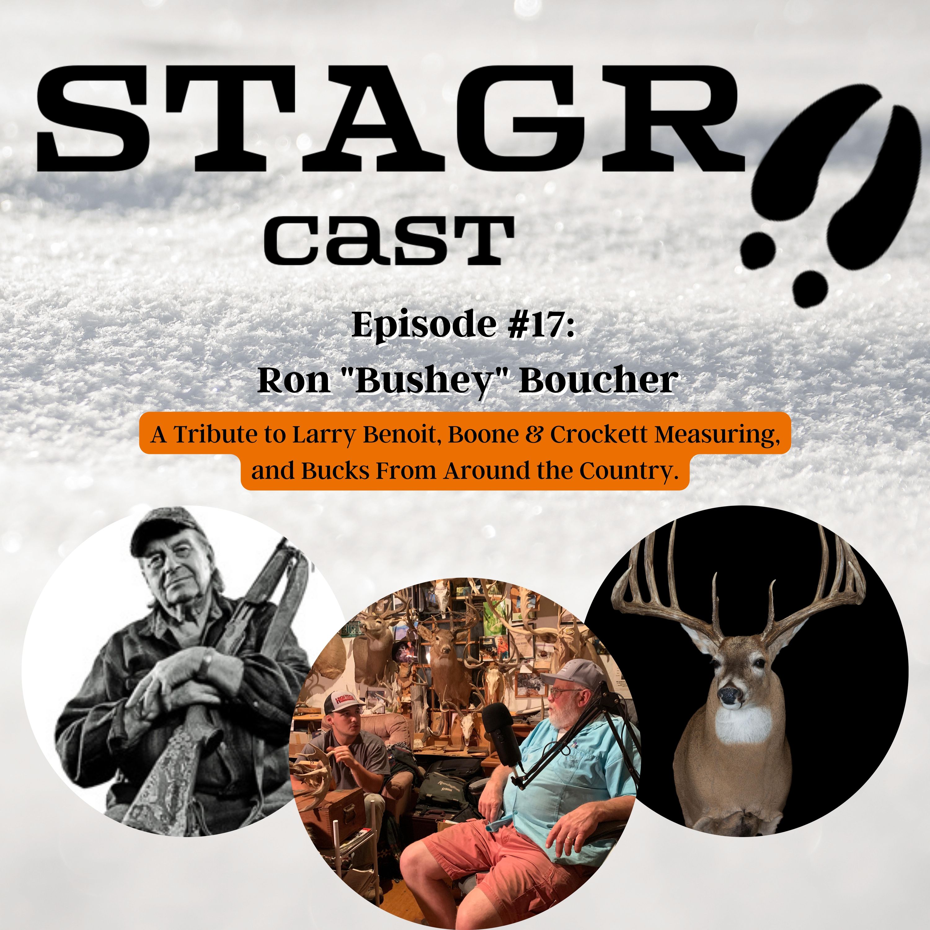 STAGR Cast