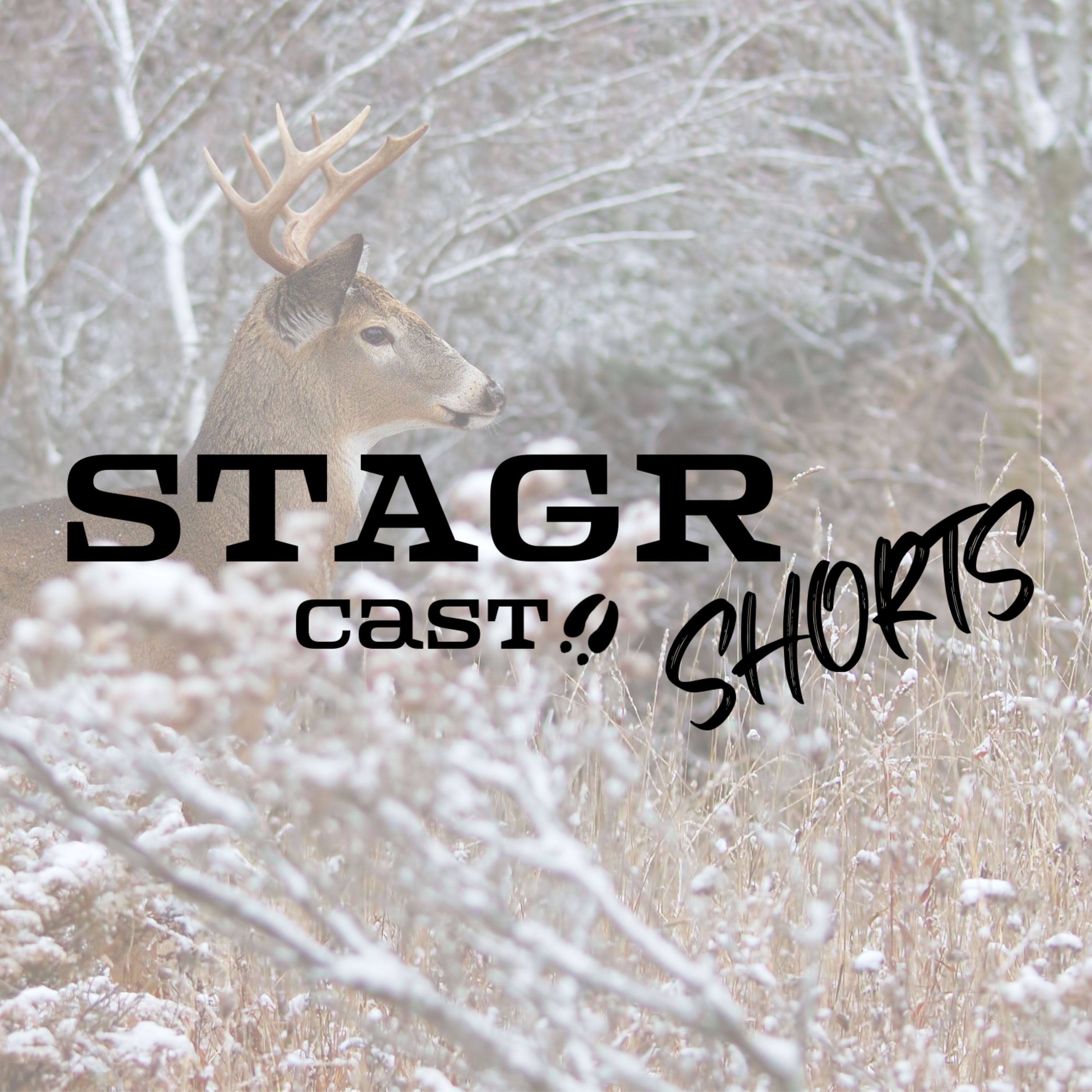 STAGR Cast Shorts: Transition to Hunting the Big Woods (Shawn Lambert)