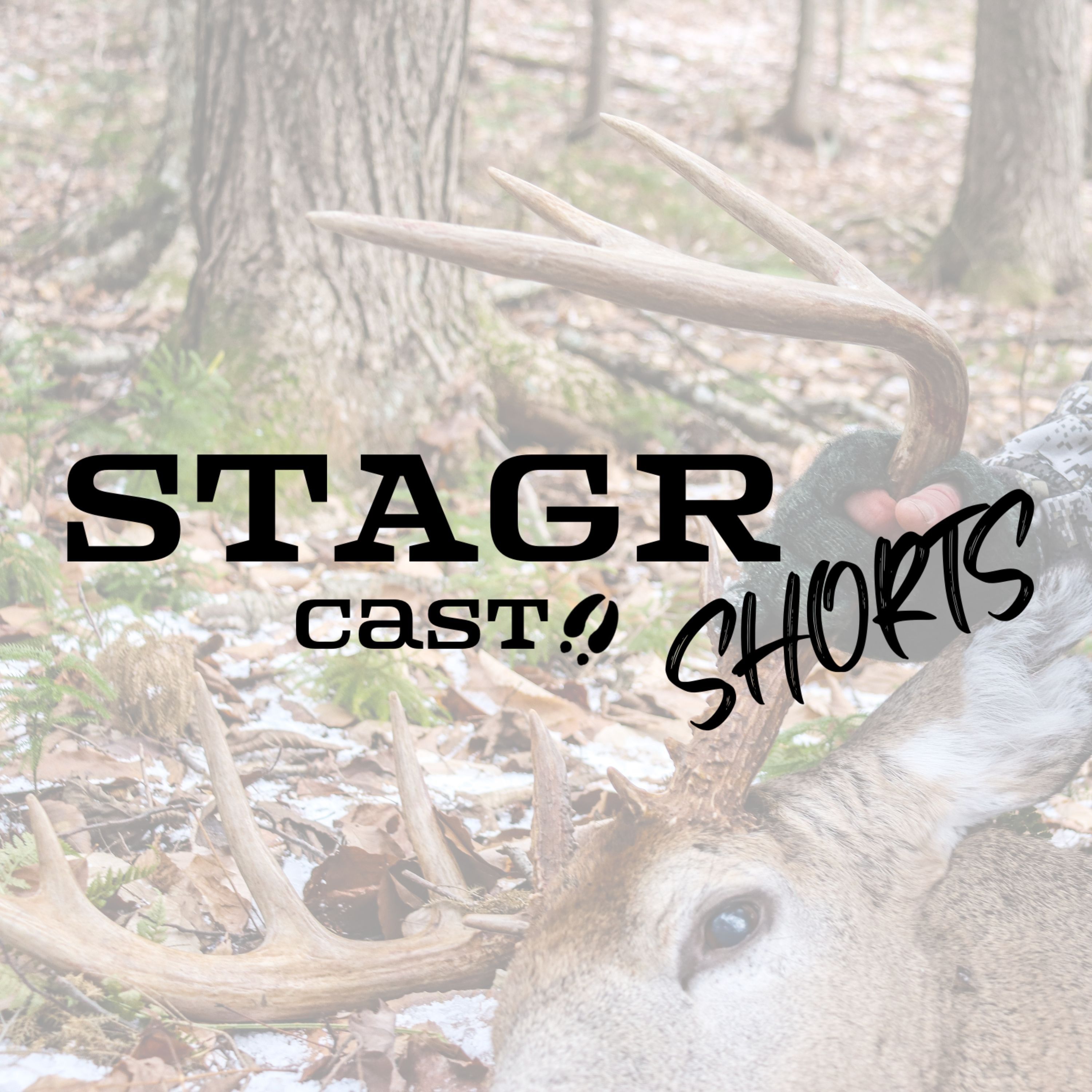 STAGR Cast Shorts #19