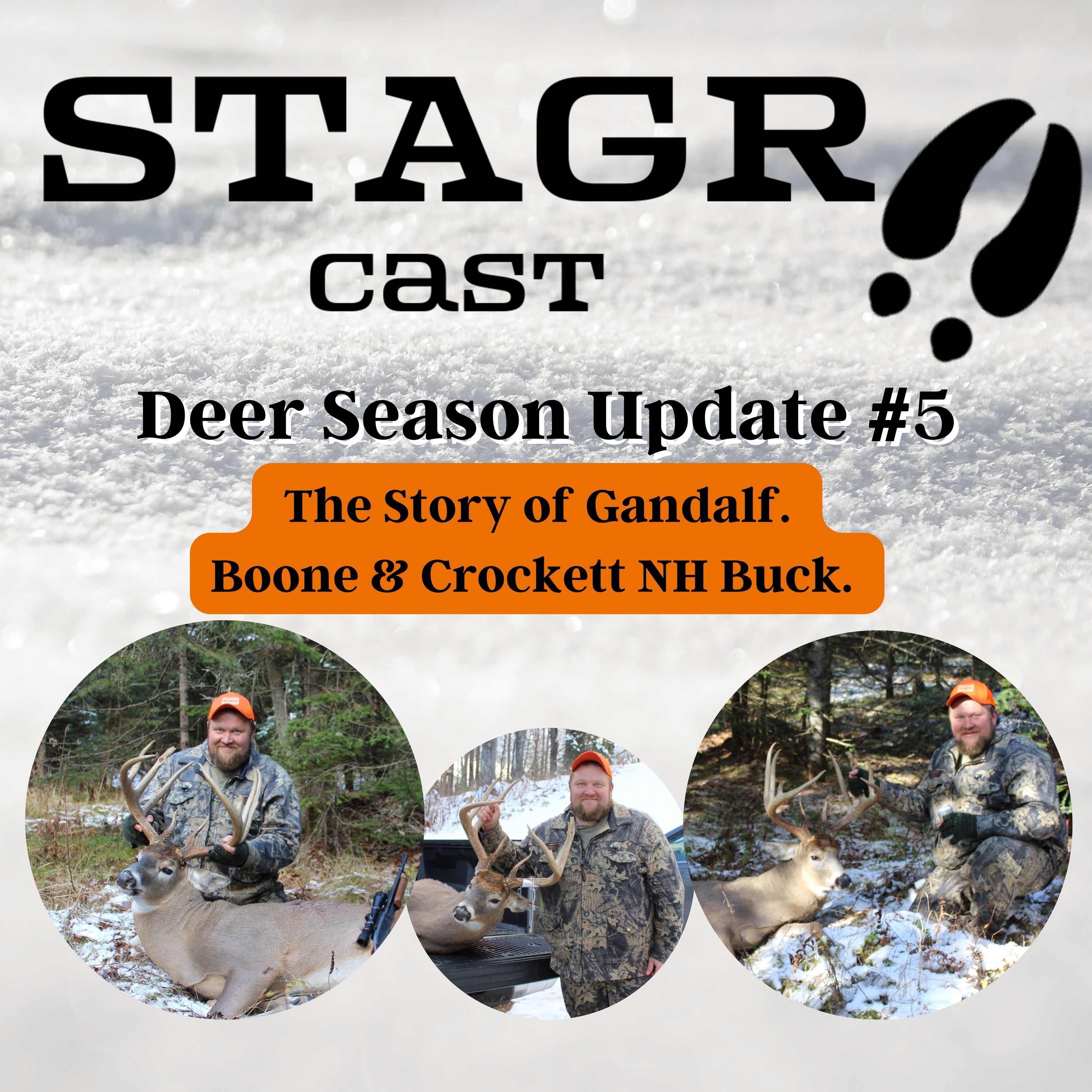 STAGR Cast