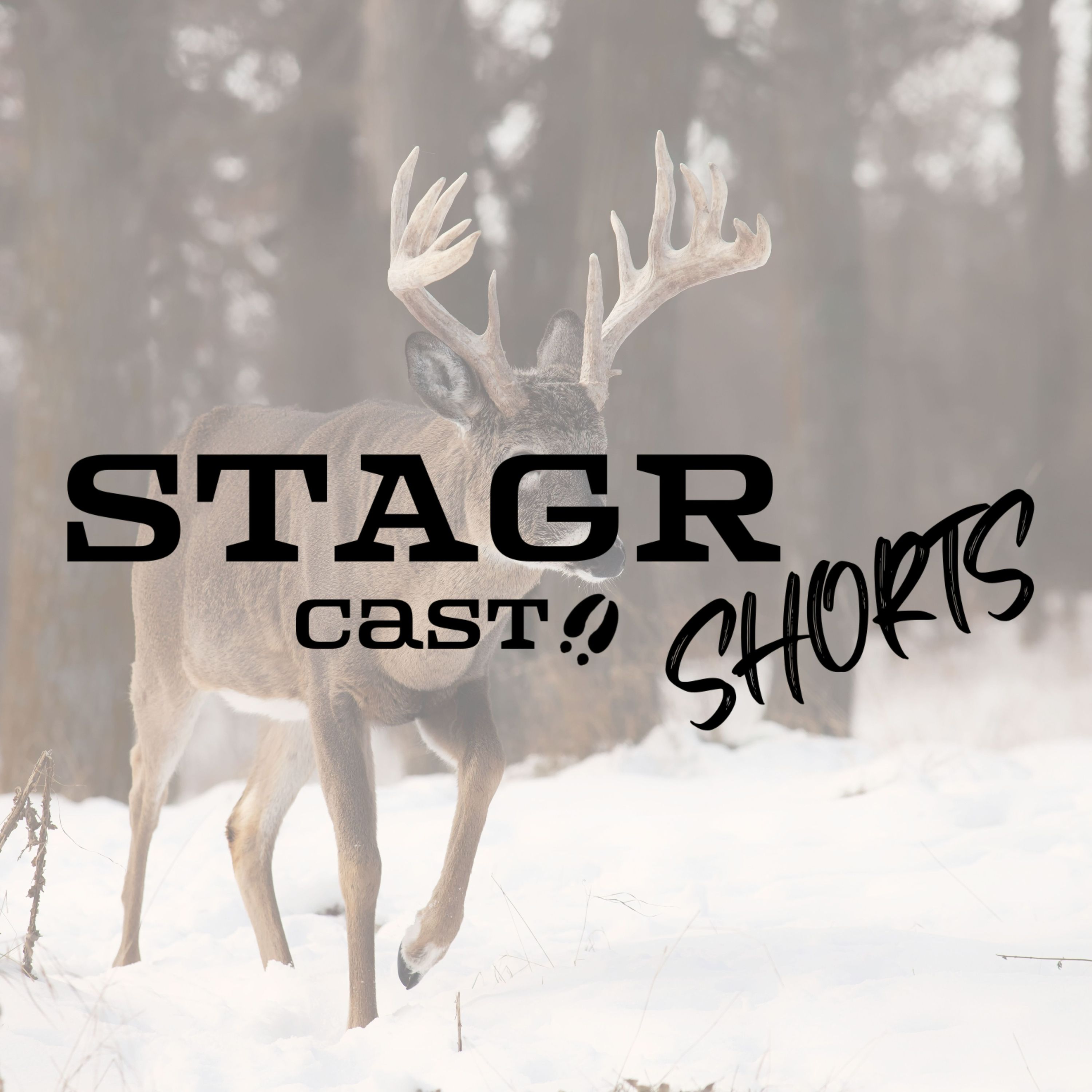 STAGR Cast Shorts (Cuts, Carbines, Tracks, Etc.) #2