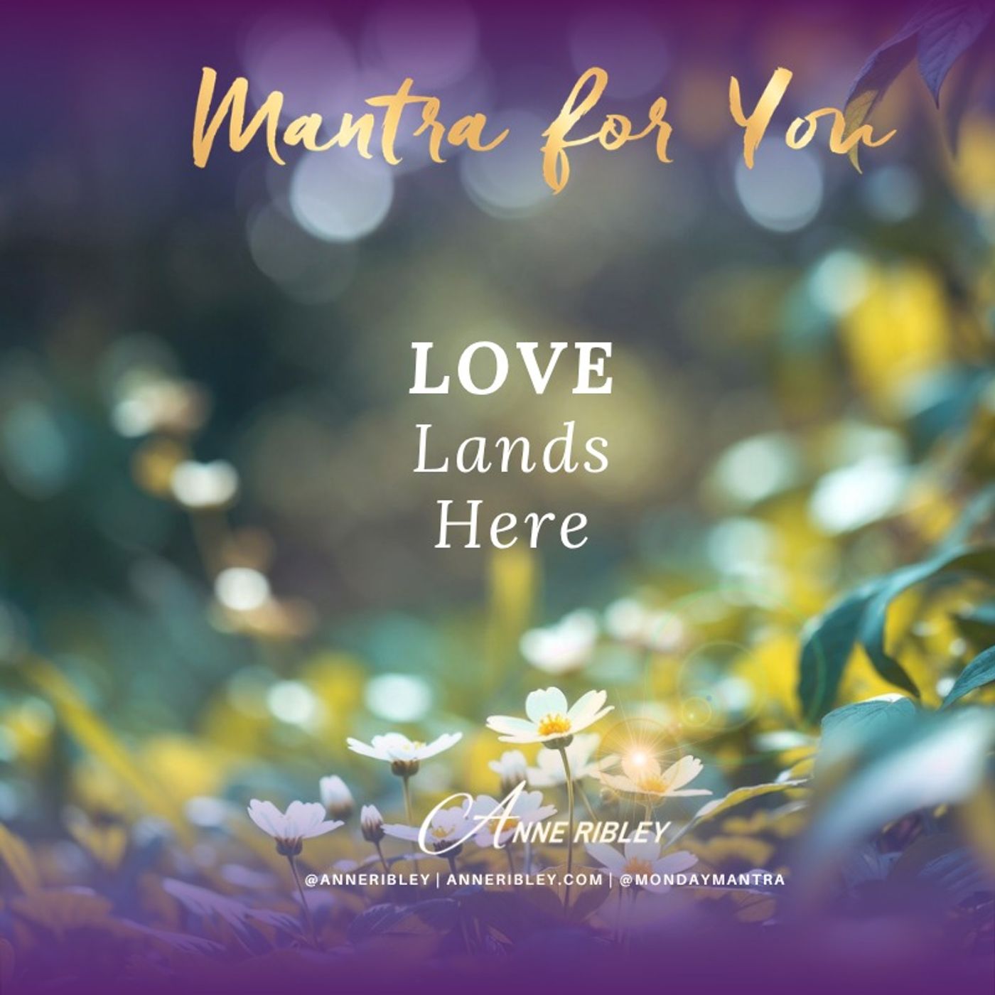 MONDAY MANTRA: LOVE Lands Here.