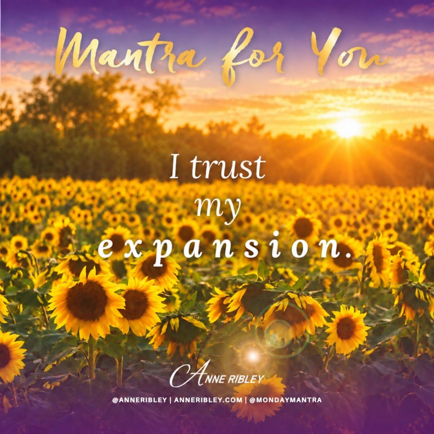 MONDAY MANTRA: I Trust My Expansion episode artwork