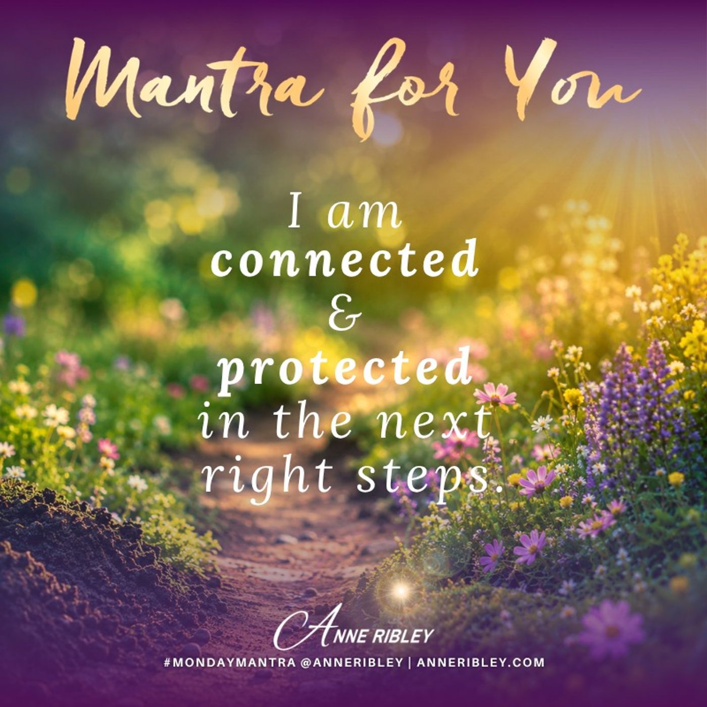 I am connected and protected in next right steps