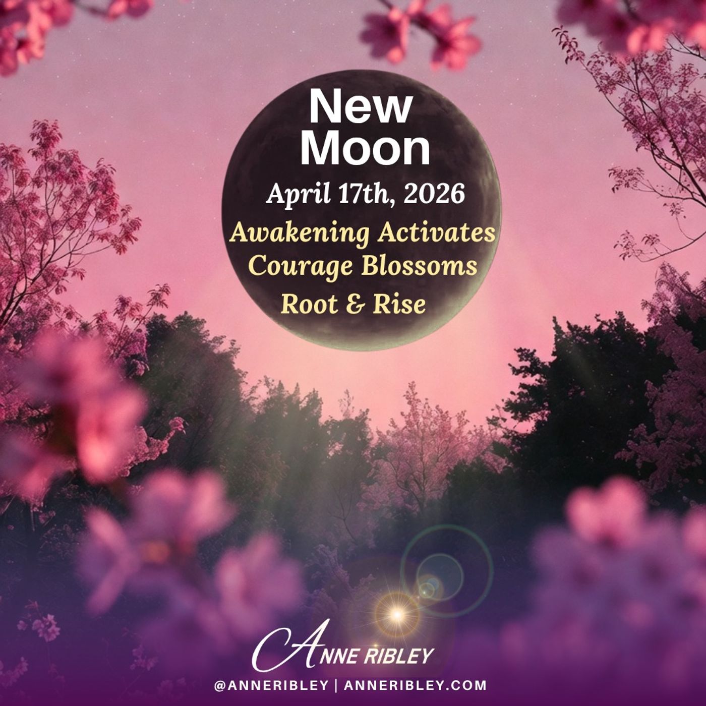April New Moon 2026 Insider